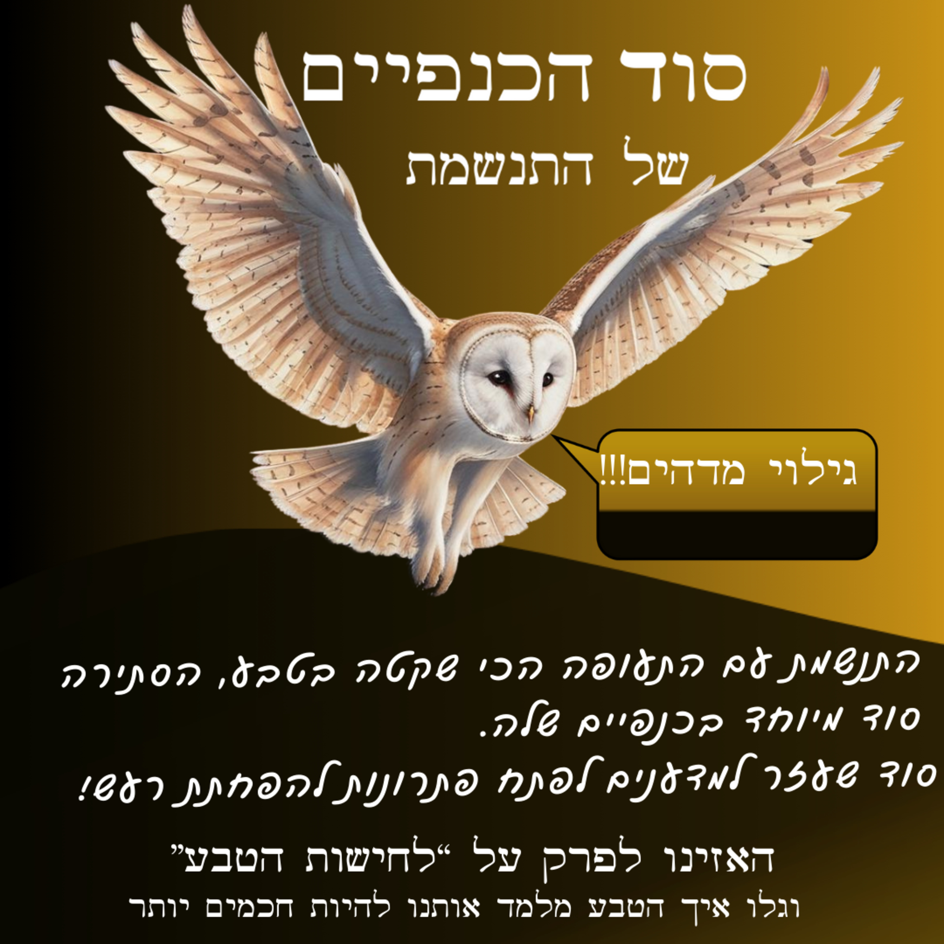 סוד הכנפיים של התנשמת episode artwork