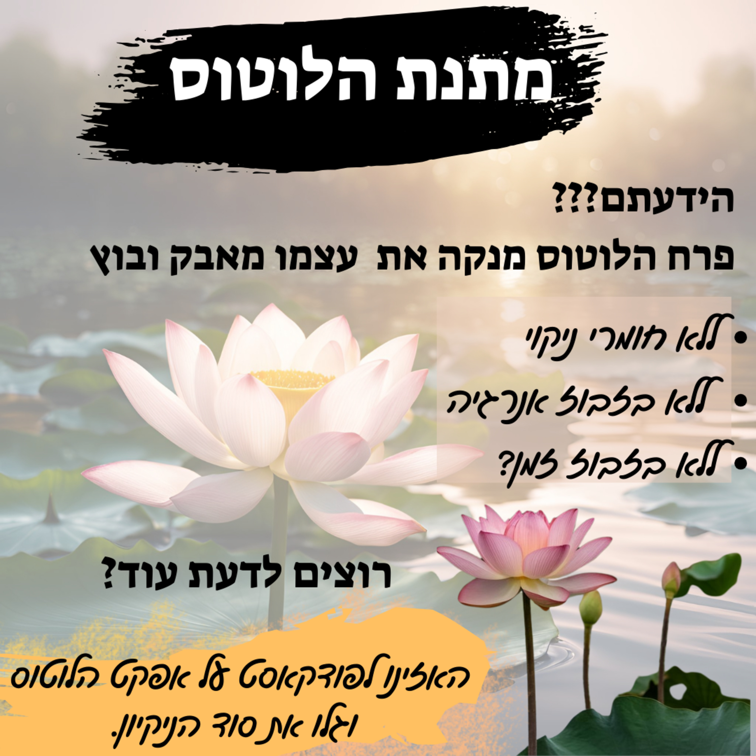 מתנת הלוטוס