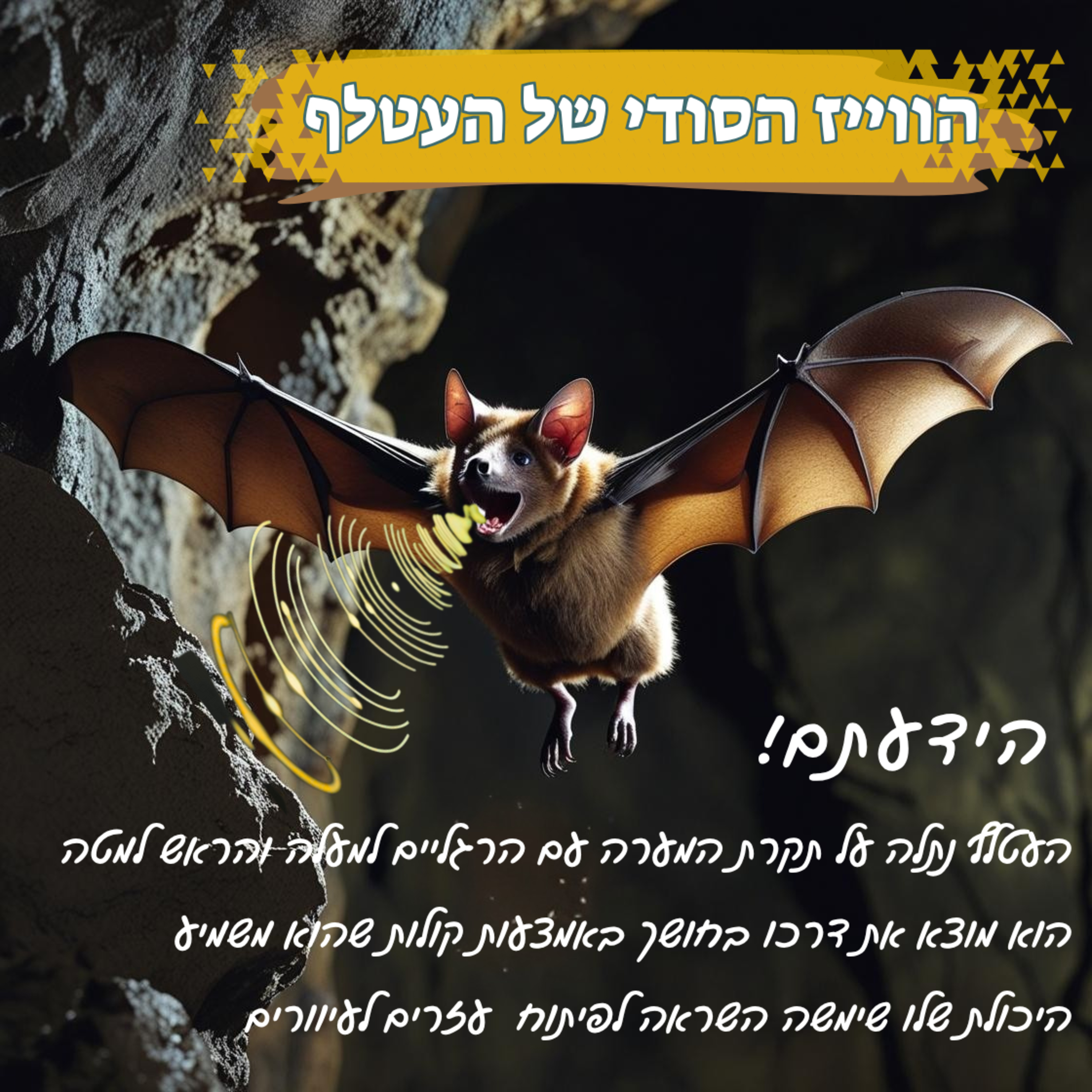 הווייז הסודי של העטלף episode artwork