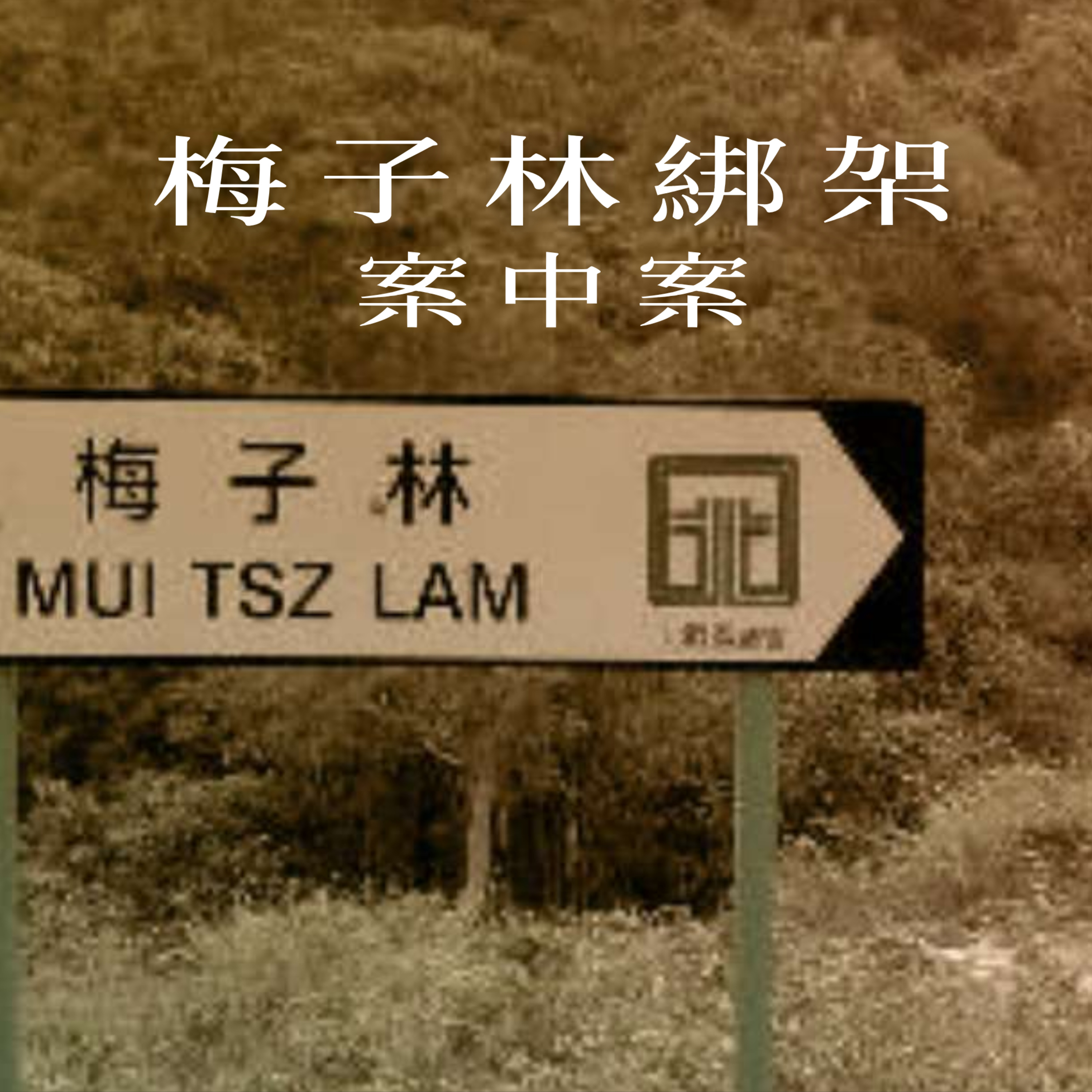 EP4 - [撕票] 梅子林綁架案中案