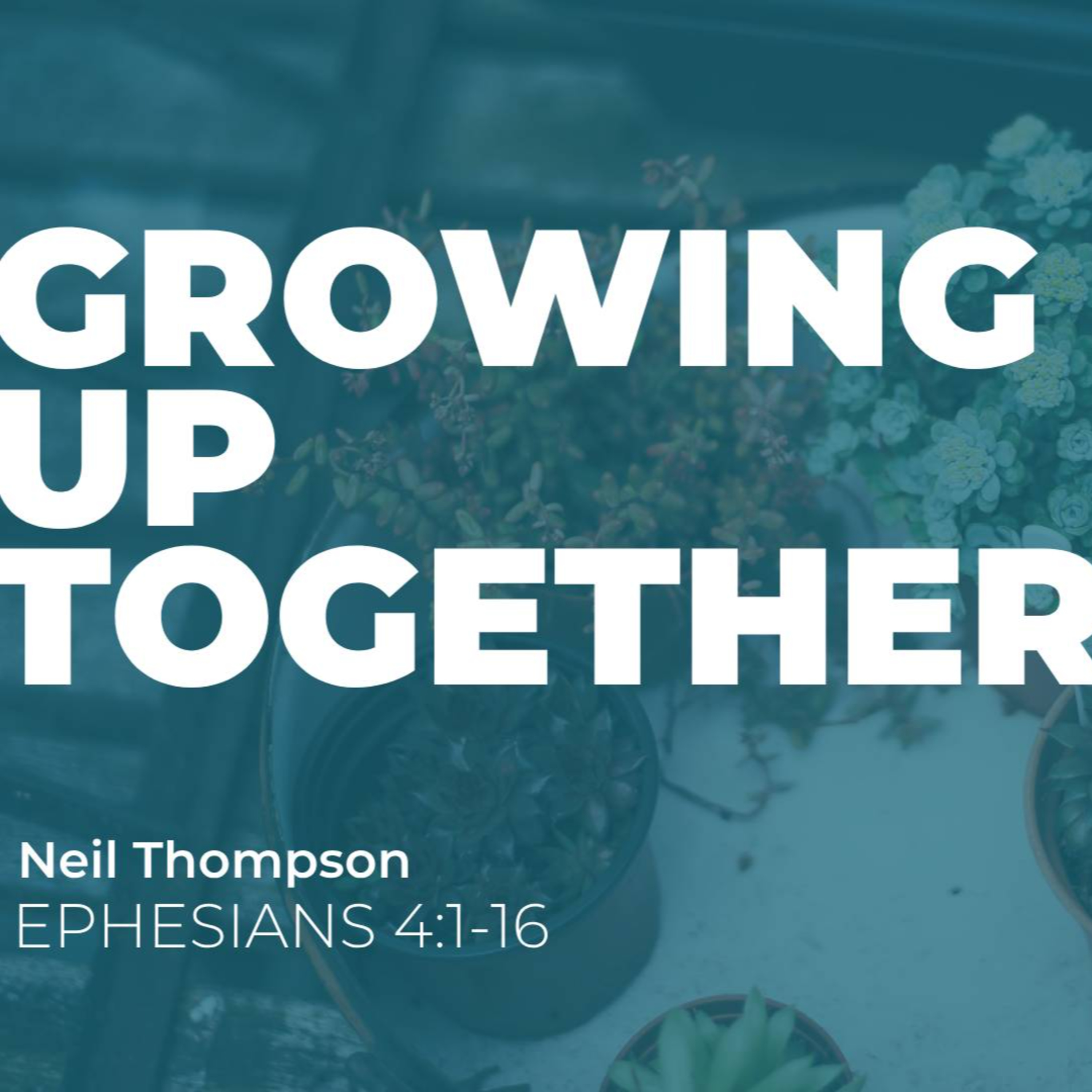 North Berwick Christian Fellowship