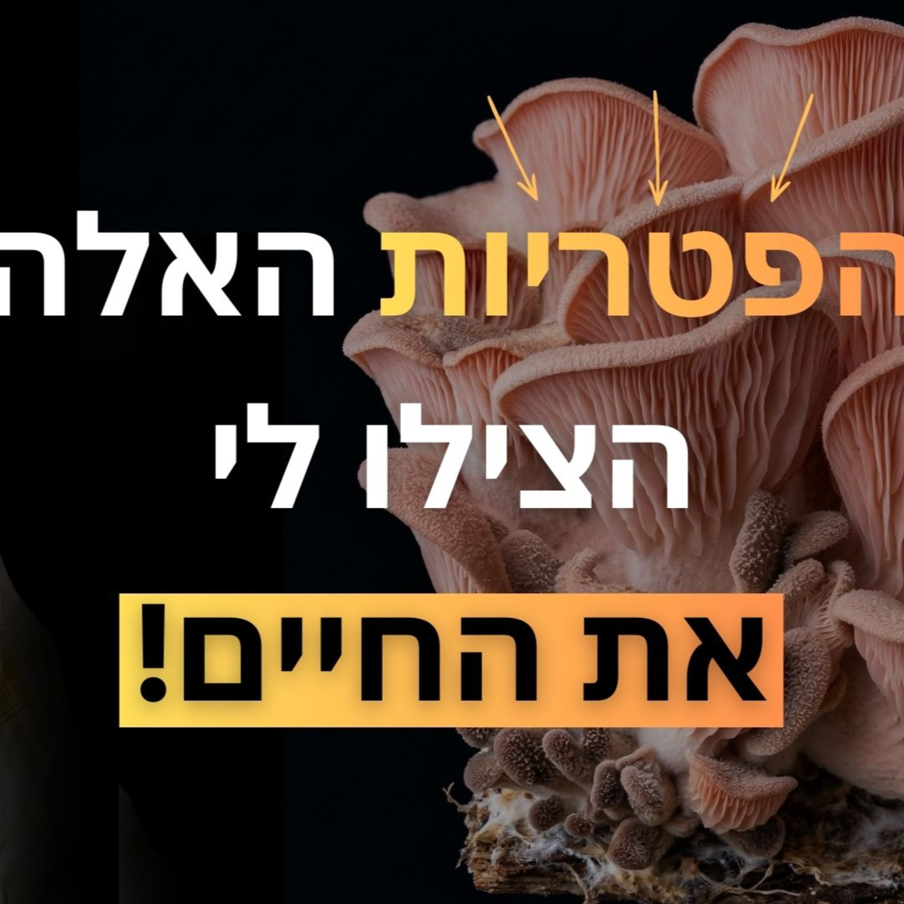 פרק 37: רע סופר - כל מה שחשבתם על פטריות הוא פשוט לא נכון! הן אפילו יותר חכמות מבני אדם...