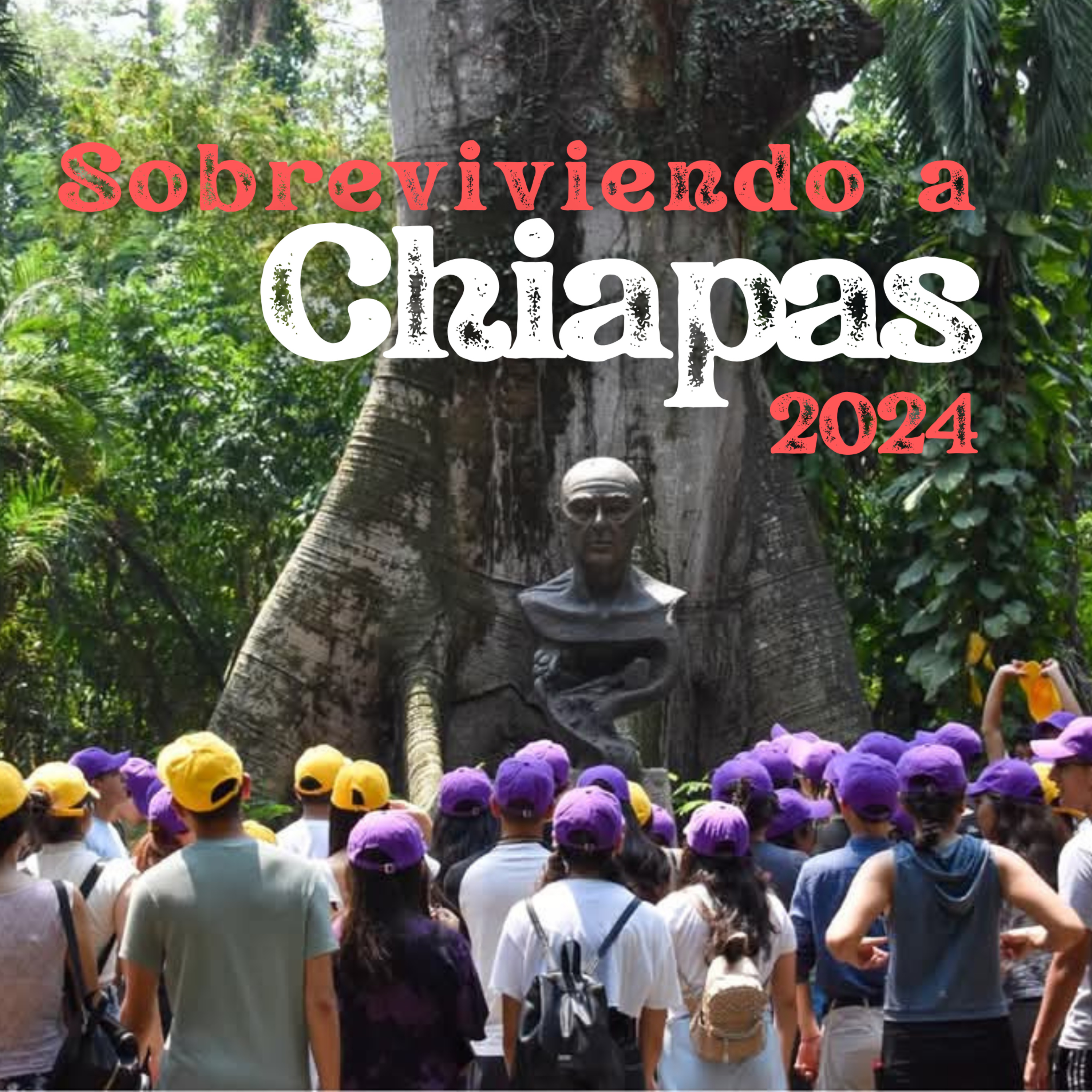Renta de Memorias