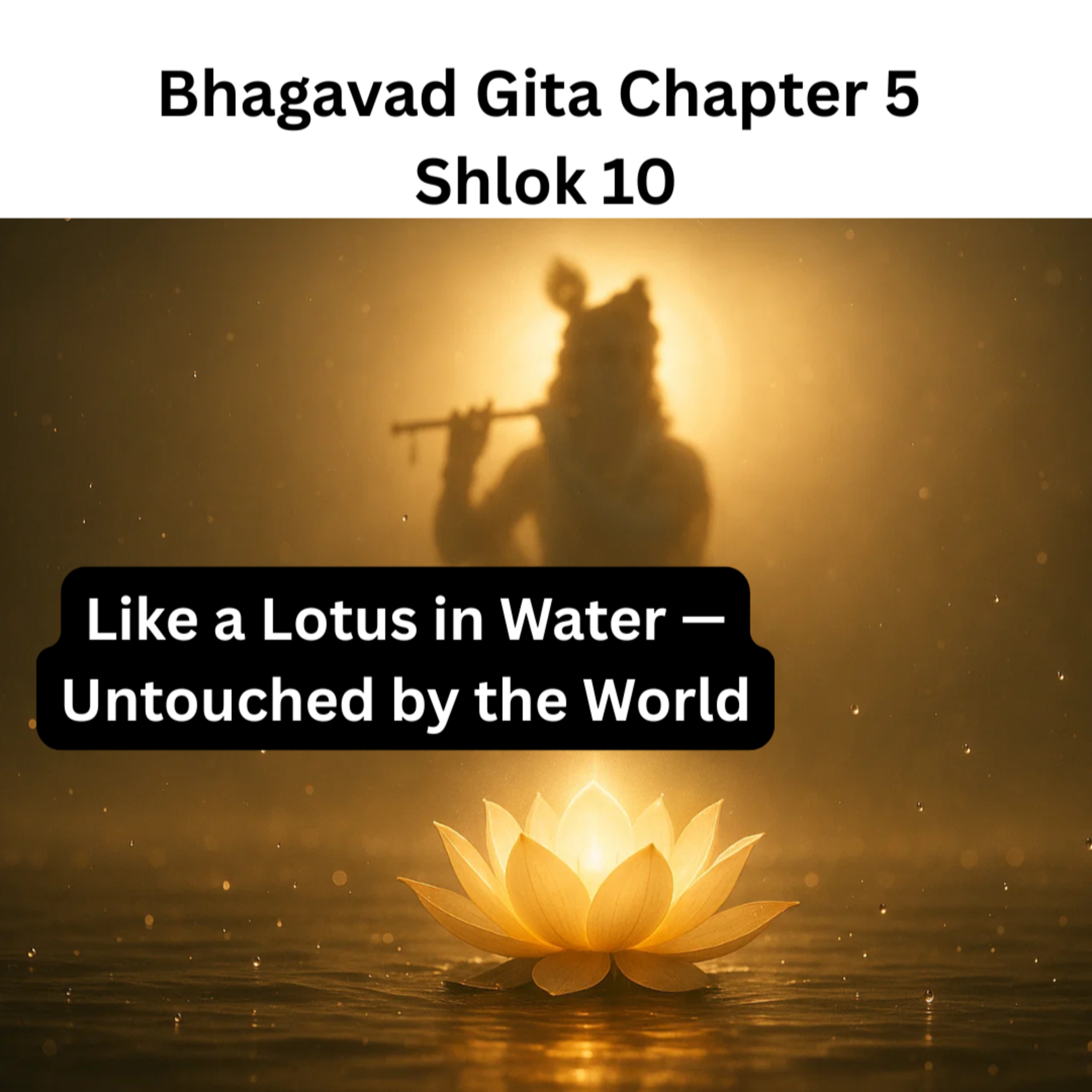 Like a Lotus in Water — Untouched by the World | Bhagavad Gita Chapter 5 Shlok 10 Explained episode artwork