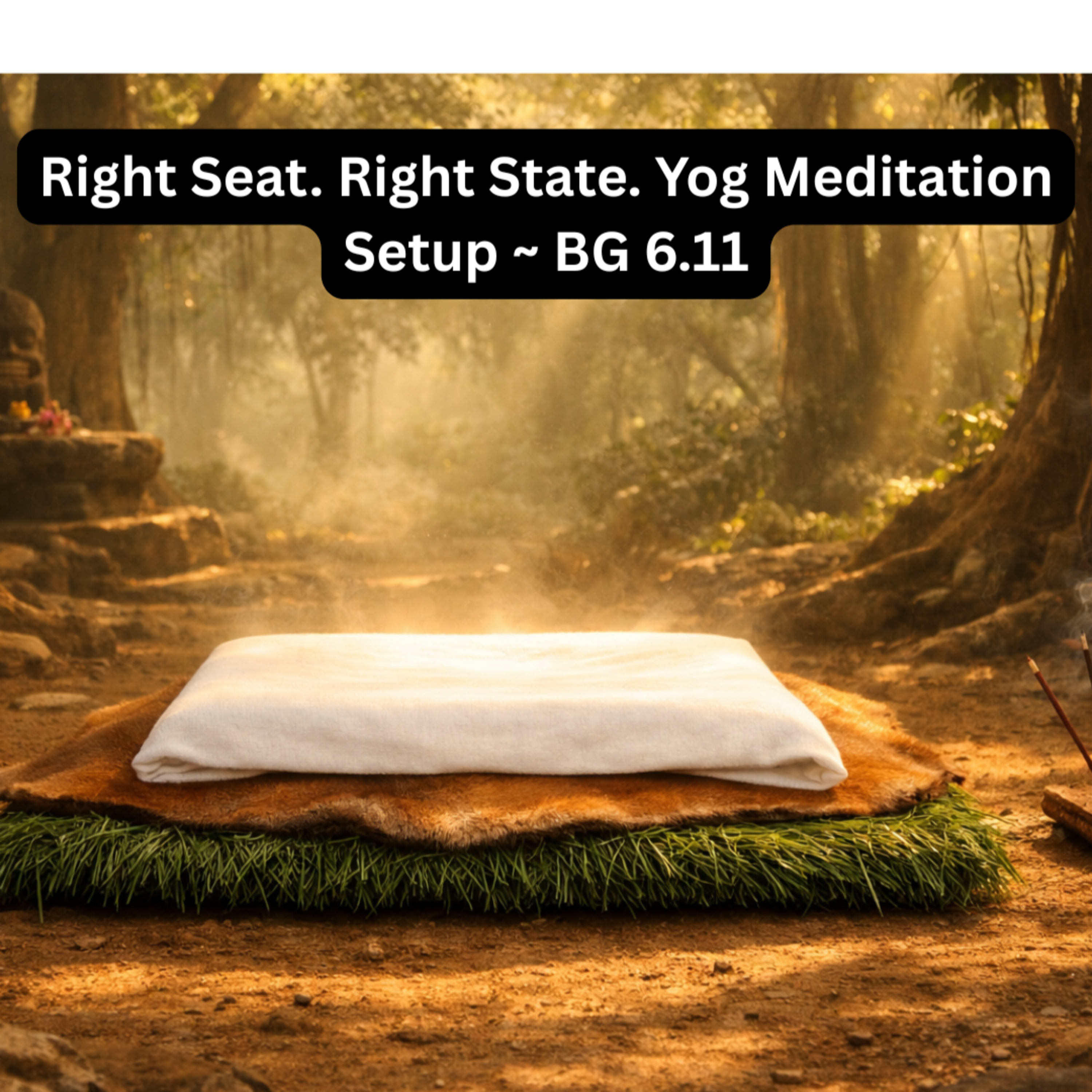 Right Seat. Right State | Bhagavad Gita Chapter 6 Shlok 11 Explained Hindi | Yog Meditation Setup episode artwork