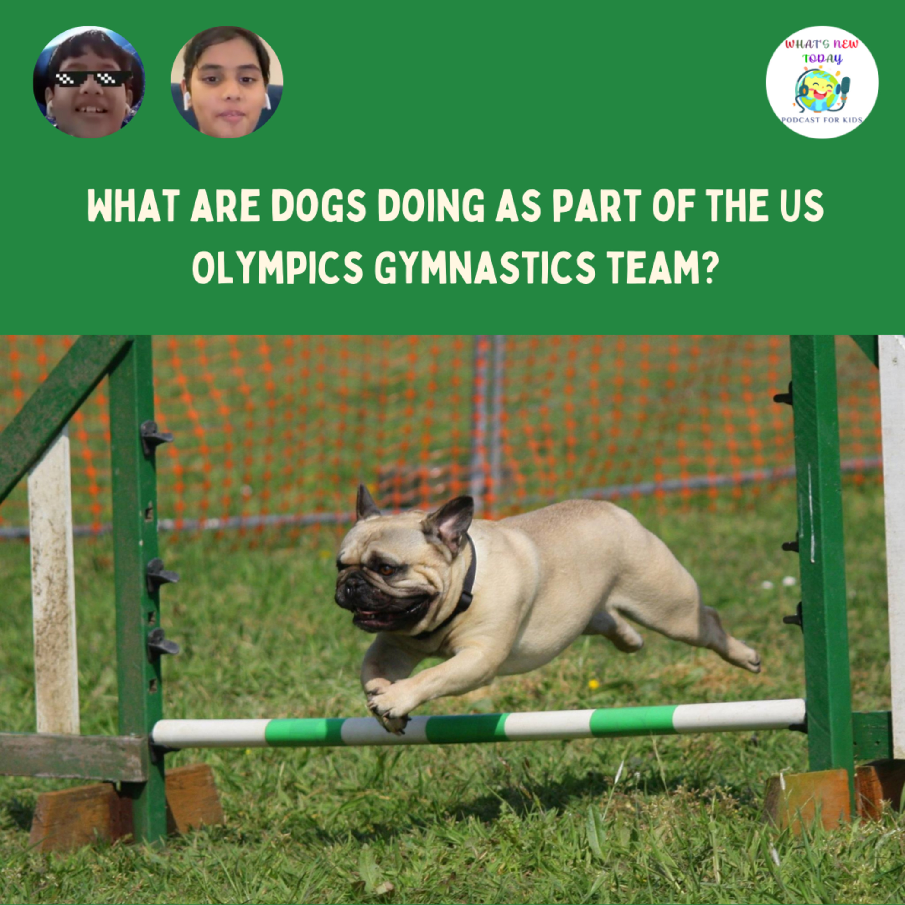 S2 E97: Paris Olympics - What are dogs doing as part of the US Gymnastics team?