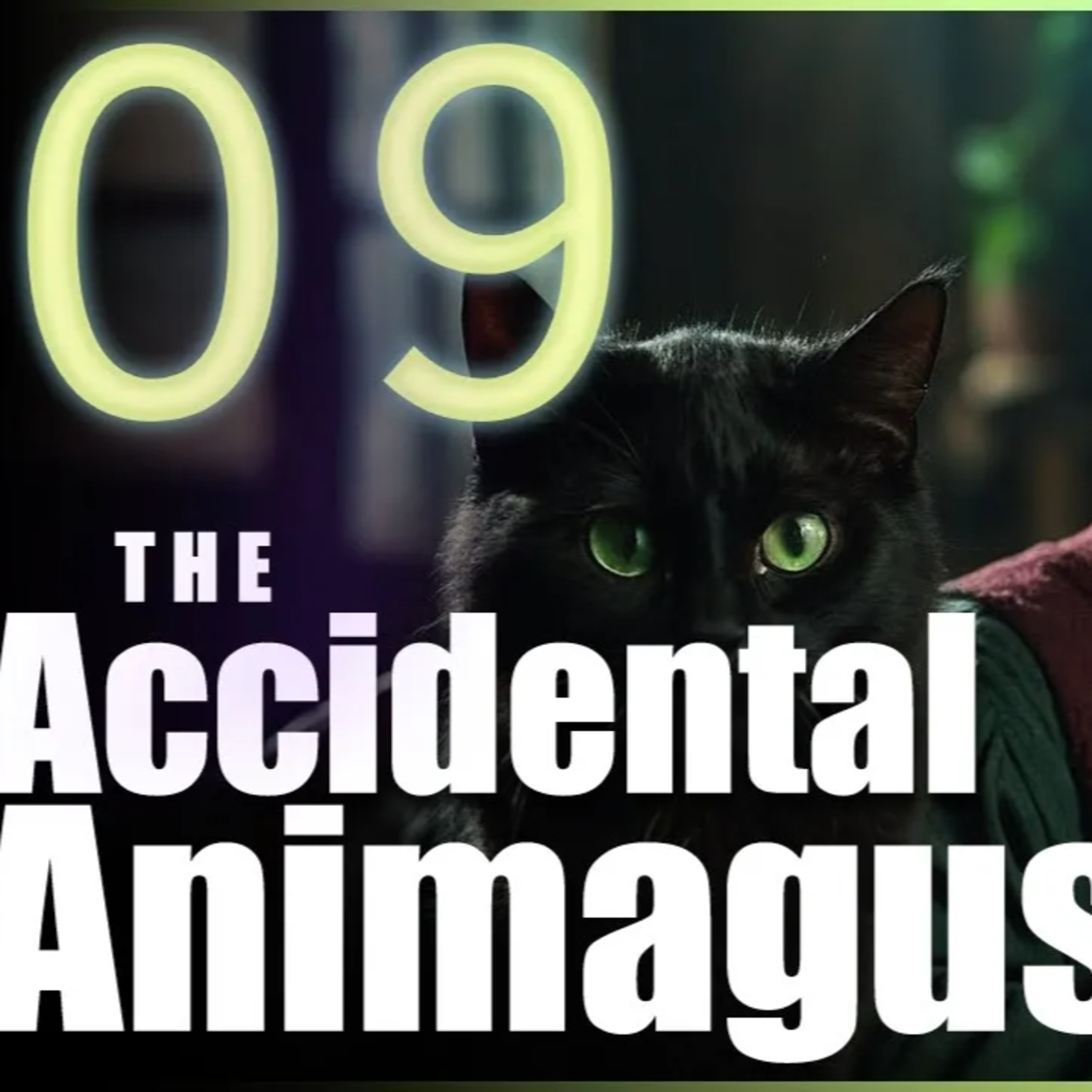 The Accidental Animagus - Chapter 9 | Harry Potter Fanfiction