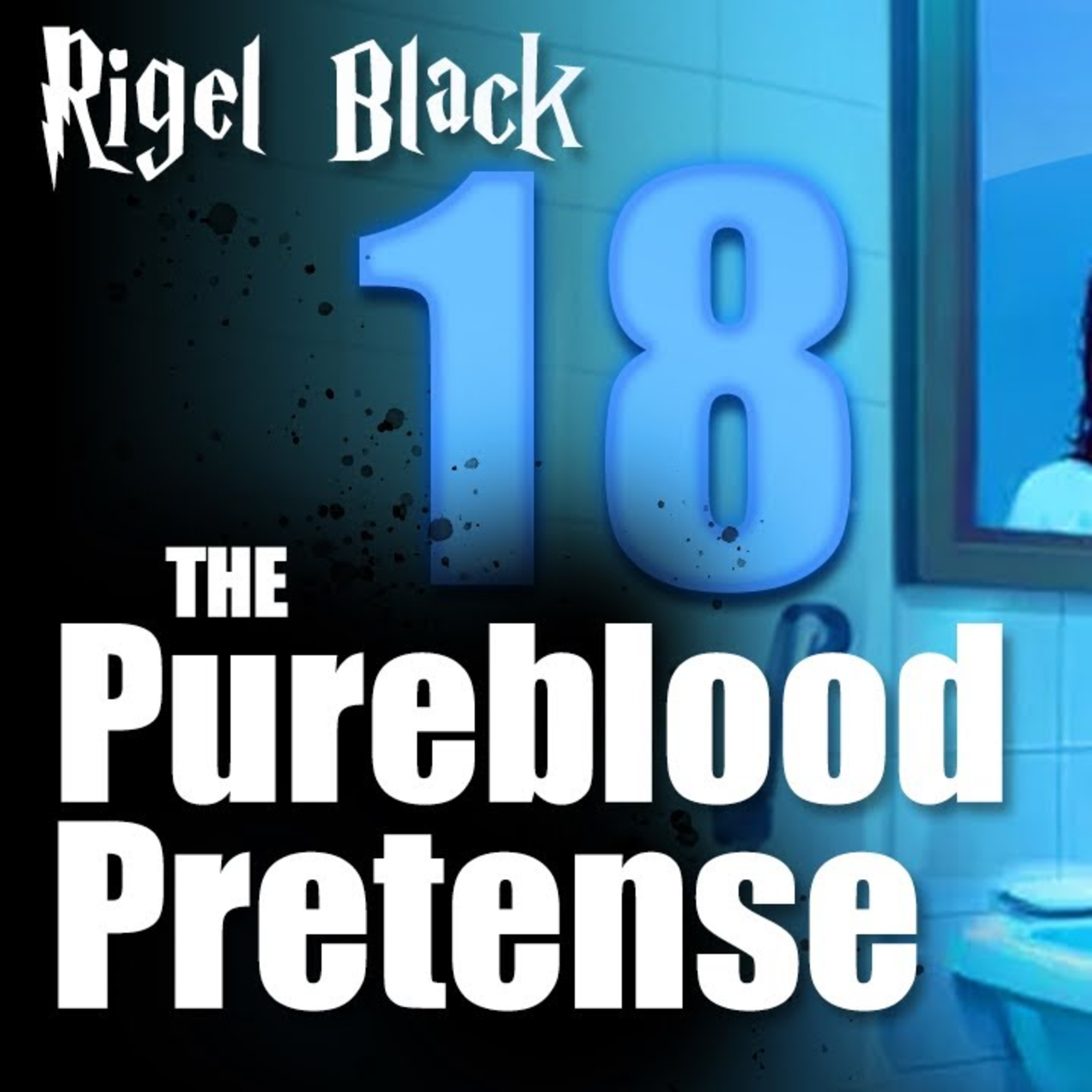 Rigel Black Chronicles: The Pureblood Pretense - Chapter 18