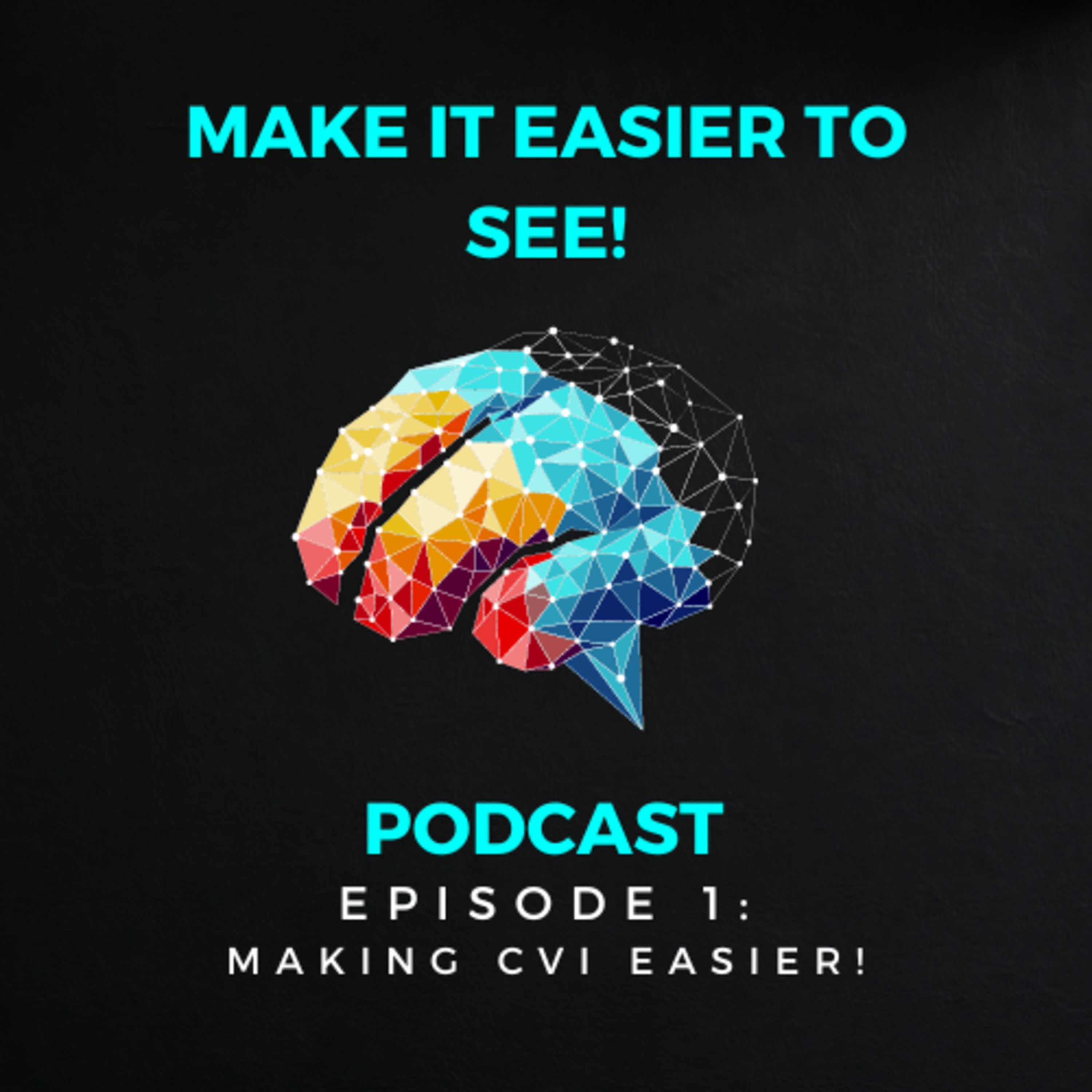 Episode 1: Making CVI Easier! episode artwork