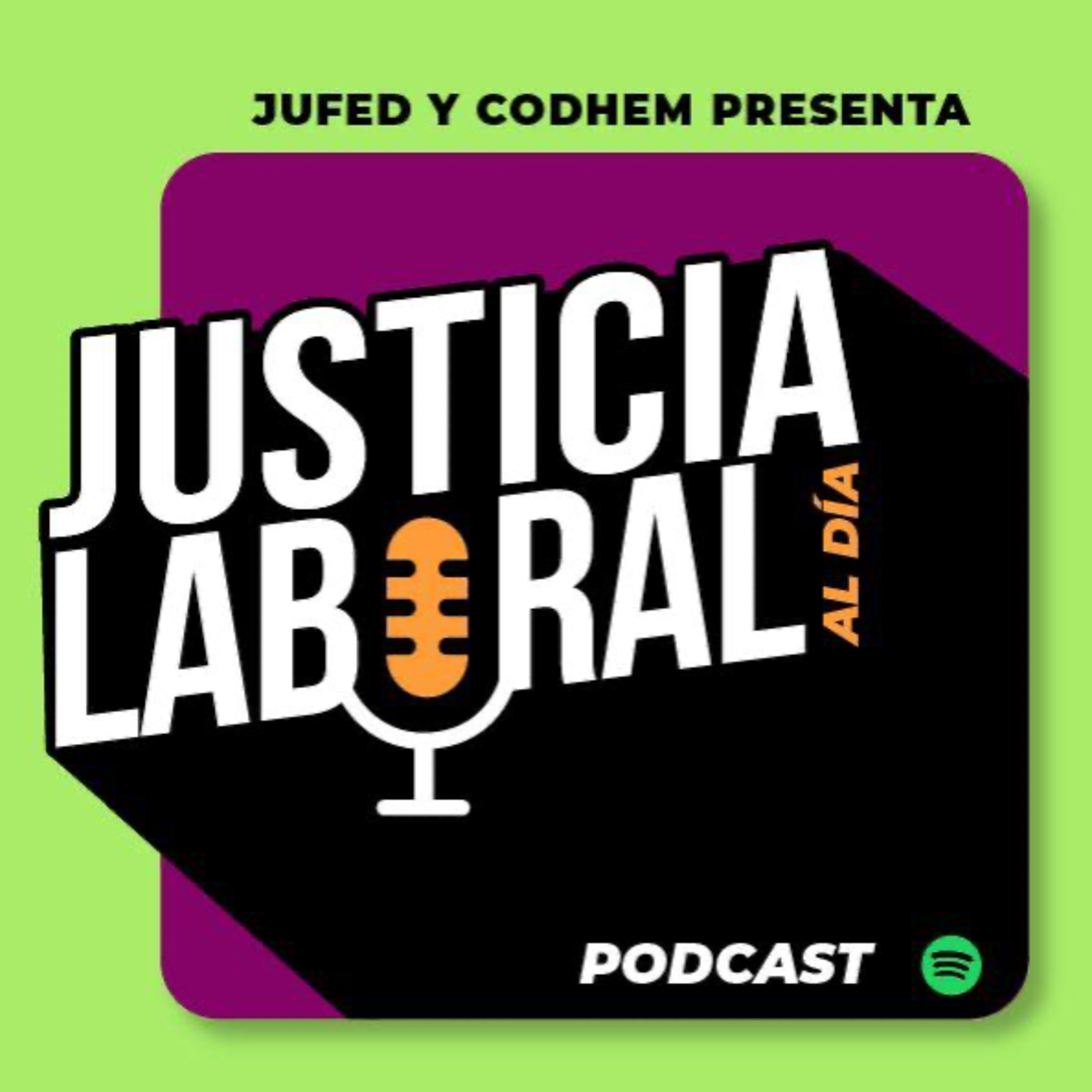 DERECHOS A LA PARTICIPACIÓN EN LAS UTILIDADES MENORES episode artwork