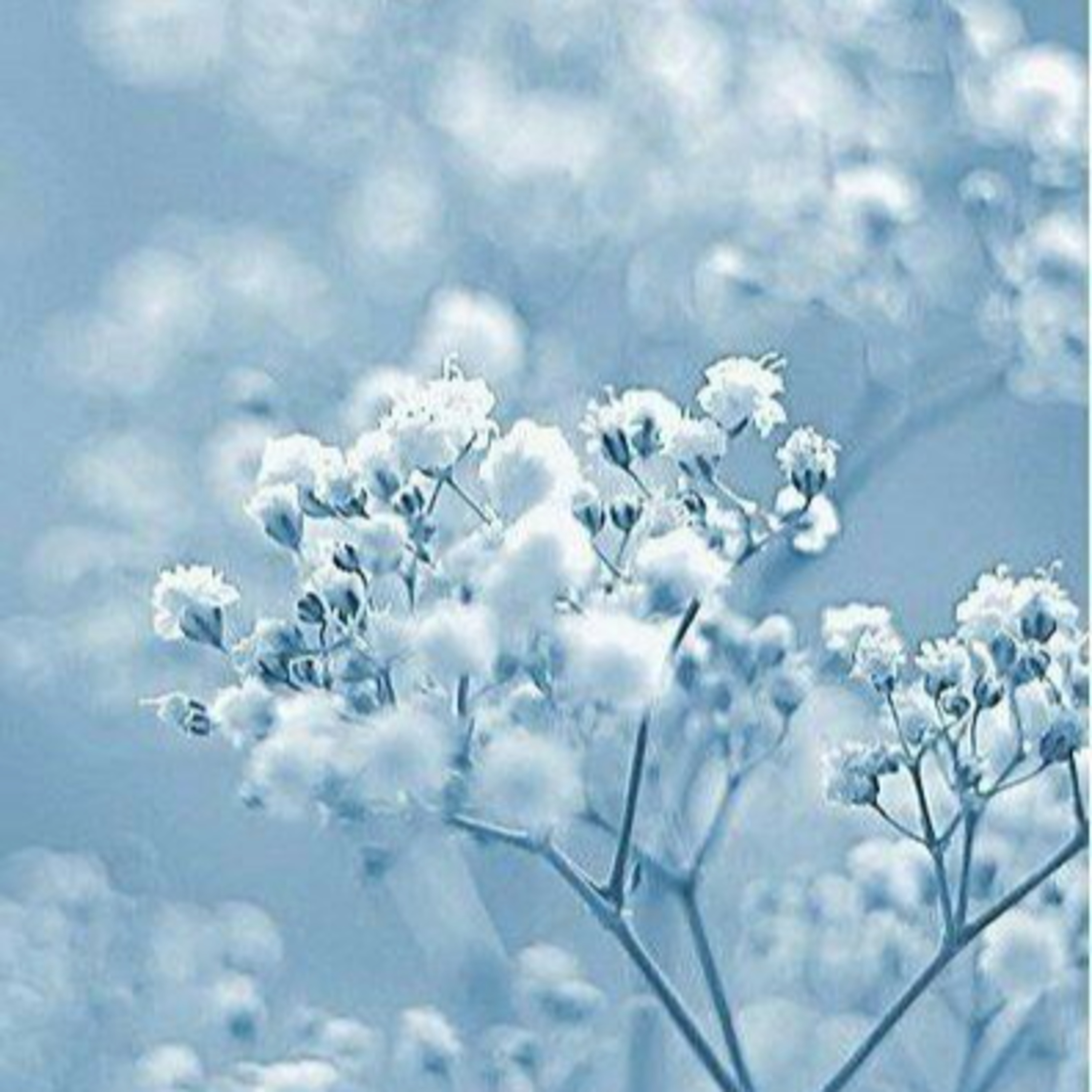 50 Follower Special ll One week in my Life ll #27