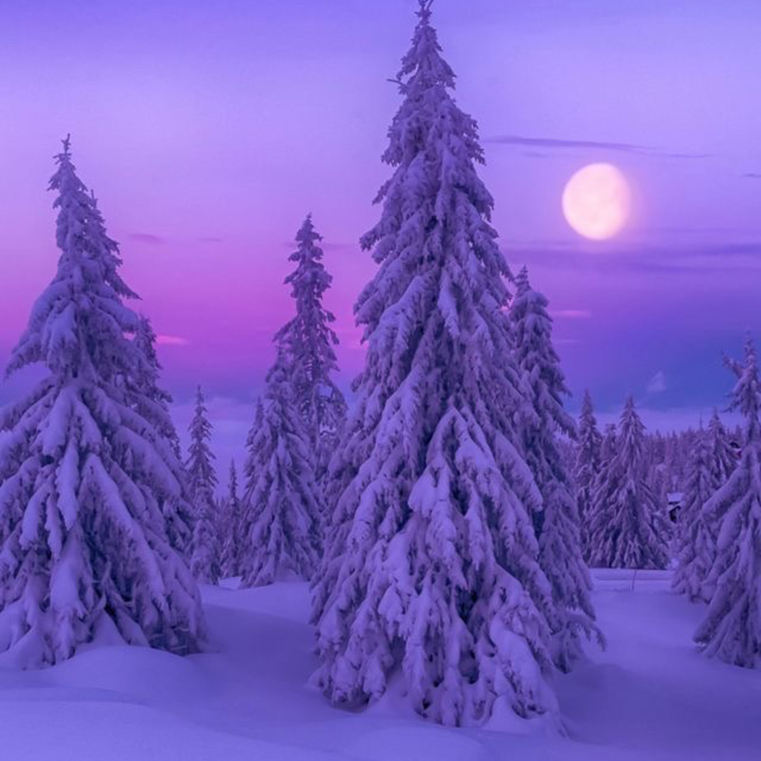 42 Adventskalender Ideen ll Cr: Christmas Girl (Anne) ll #53 episode artwork
