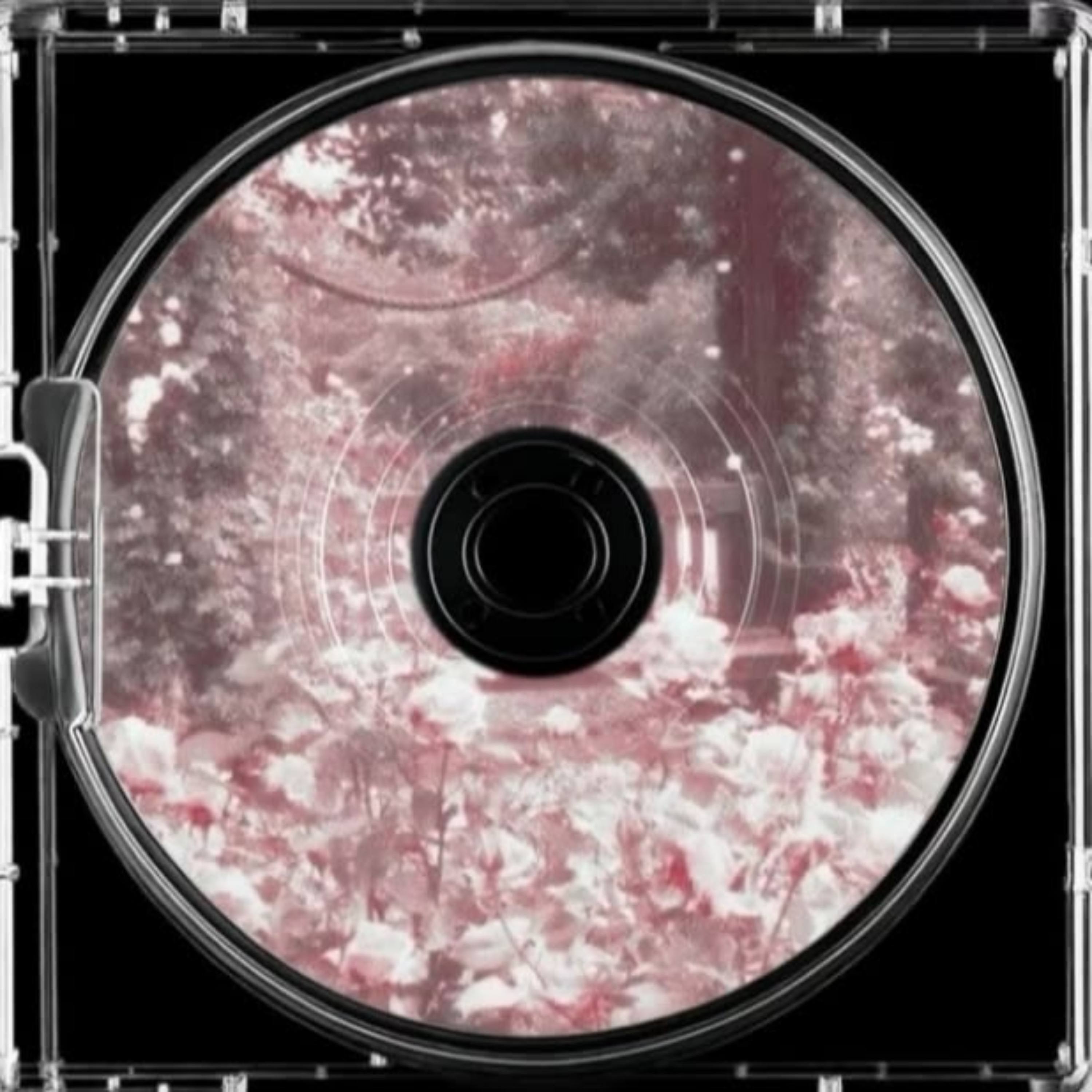 🤍✨💿