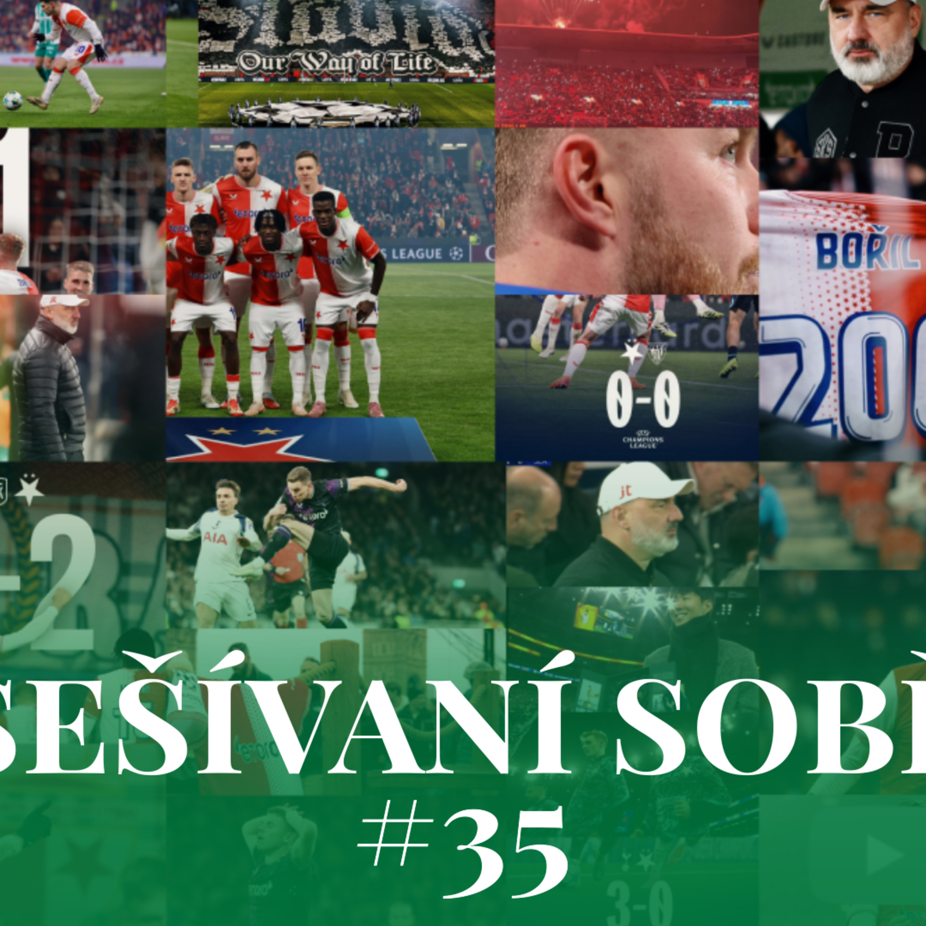 Sešívaní sobě