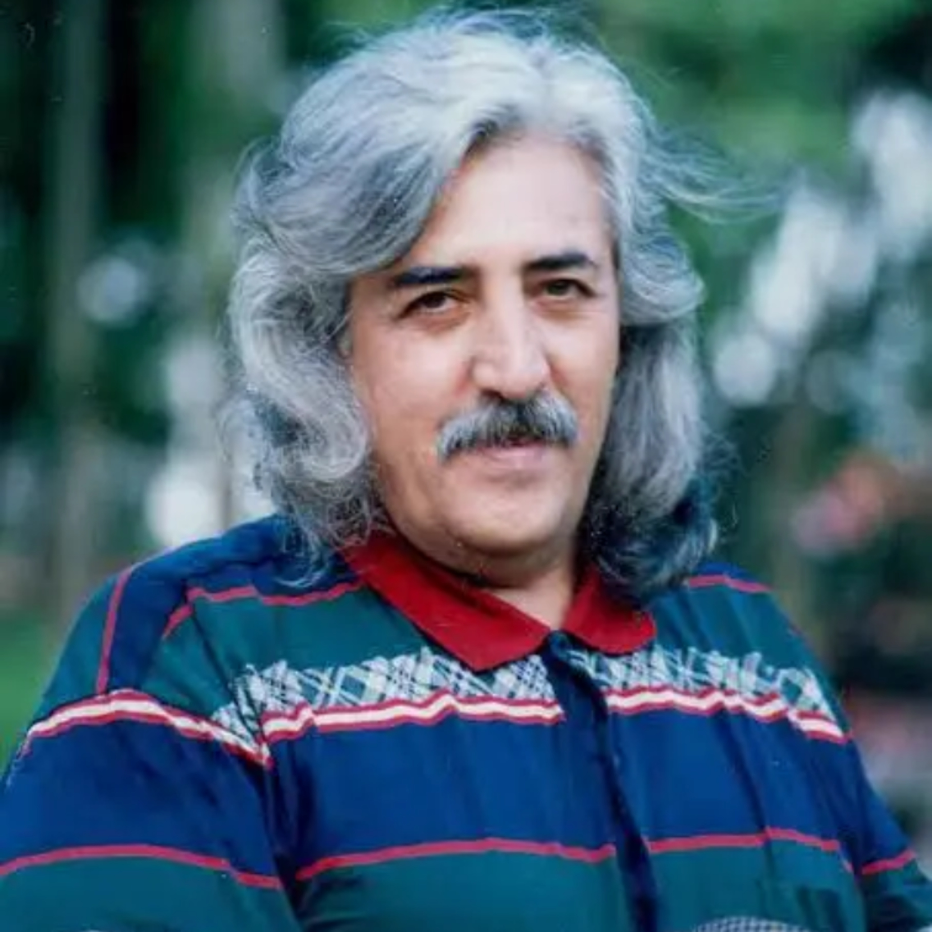 ریشه ی سرو جوان با خاک صحبت می کند