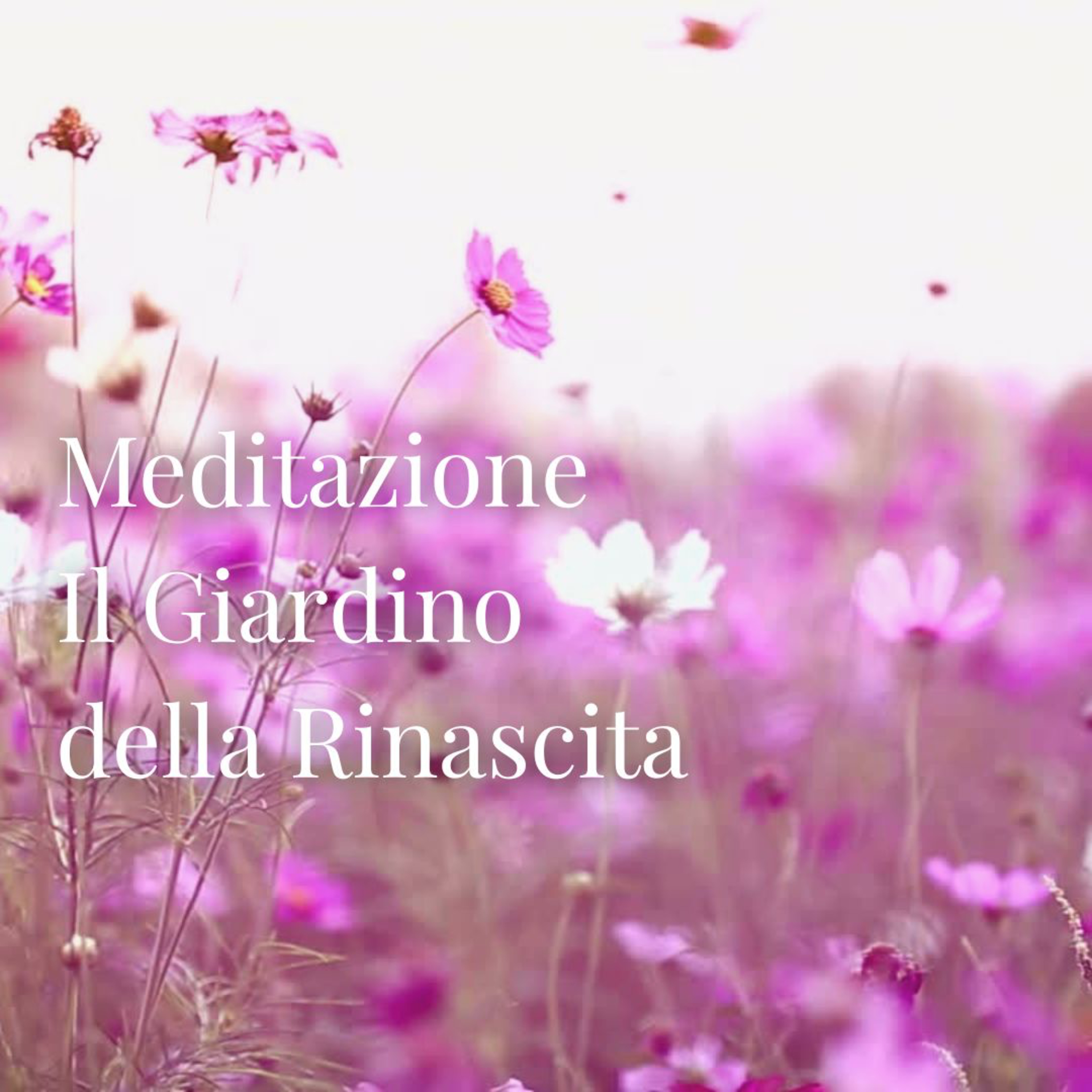 Meditazione: Il Giardino della Rinascita episode artwork