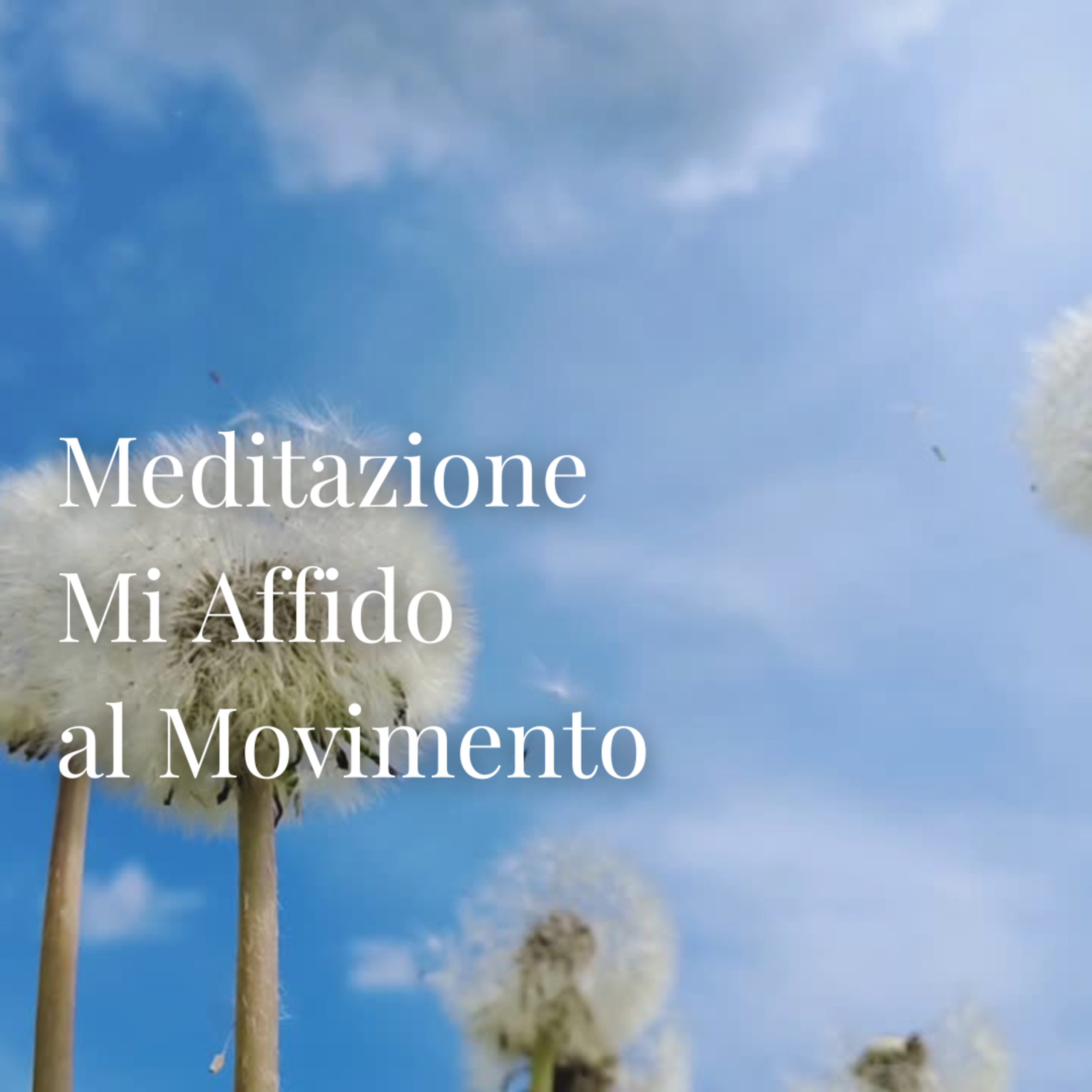 Meditazione: Mi Affido al Movimento episode artwork
