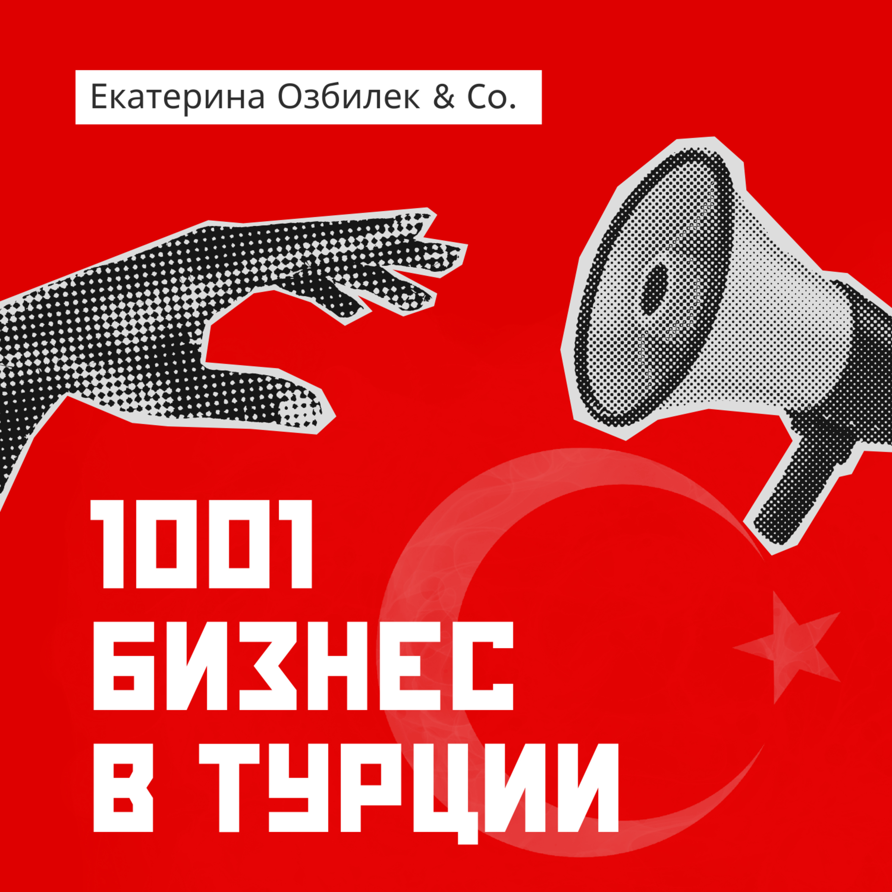 Инвестиционный компас: как строить бизнес в Турции в 2026 episode artwork