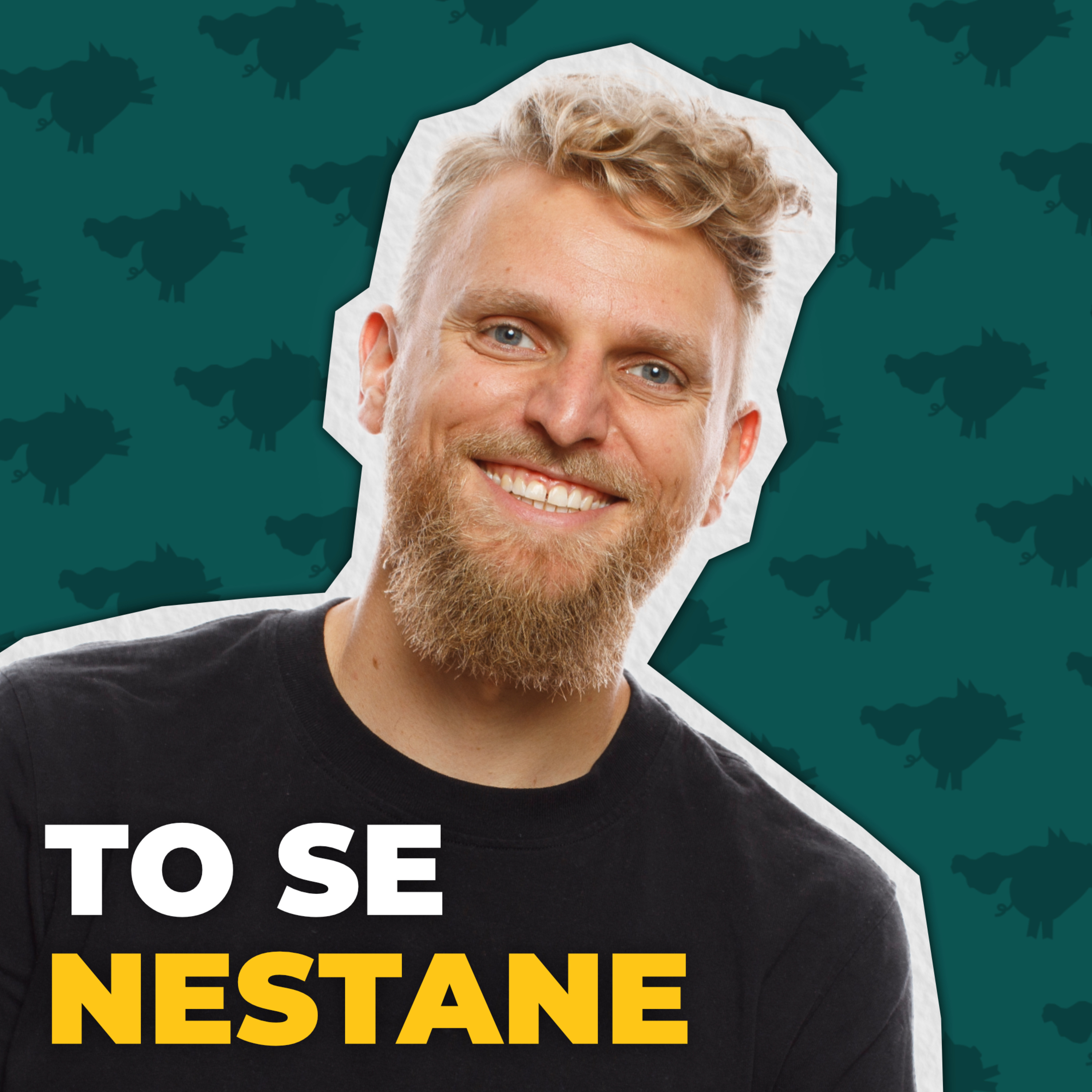 Rozbité prasátko