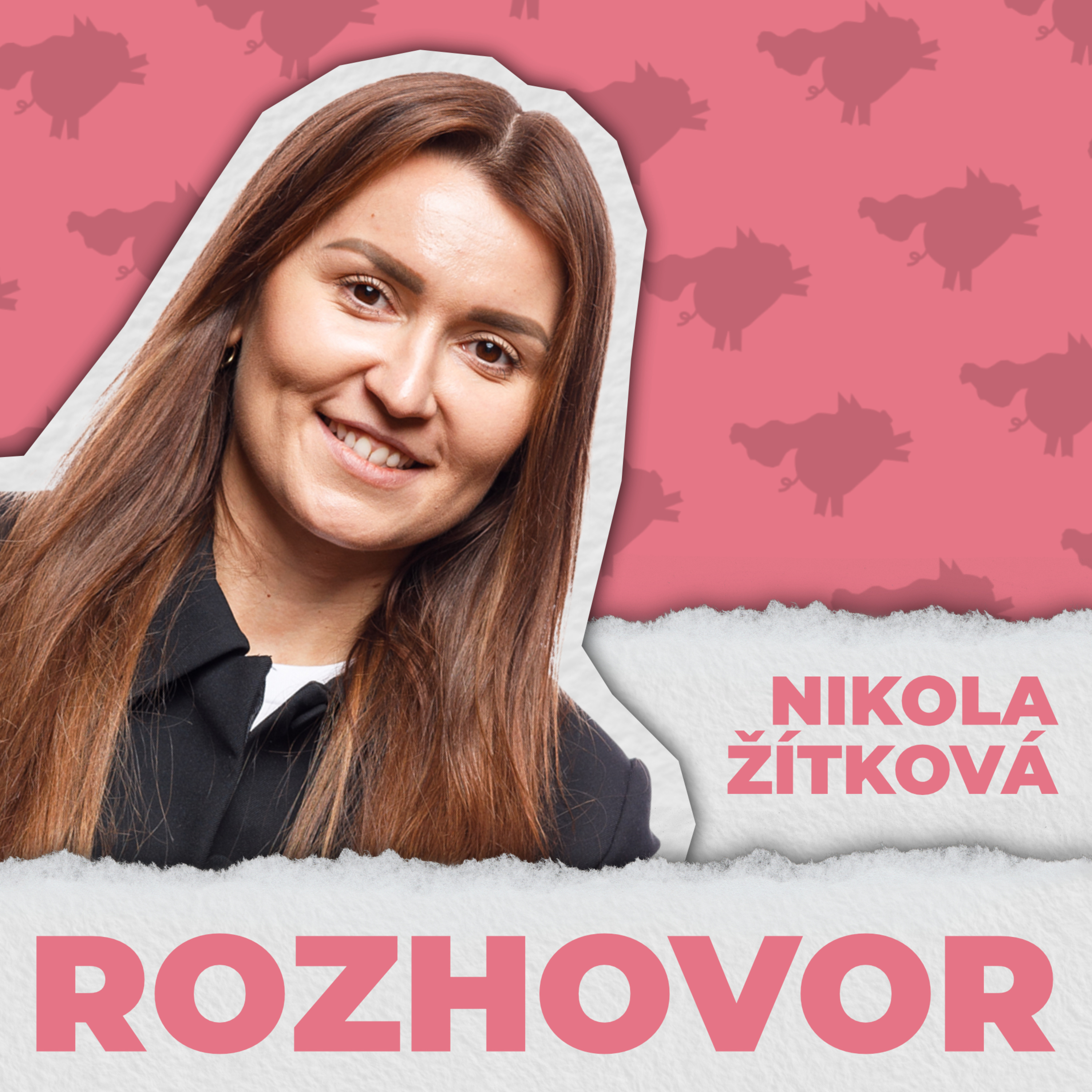 Rozbité prasátko