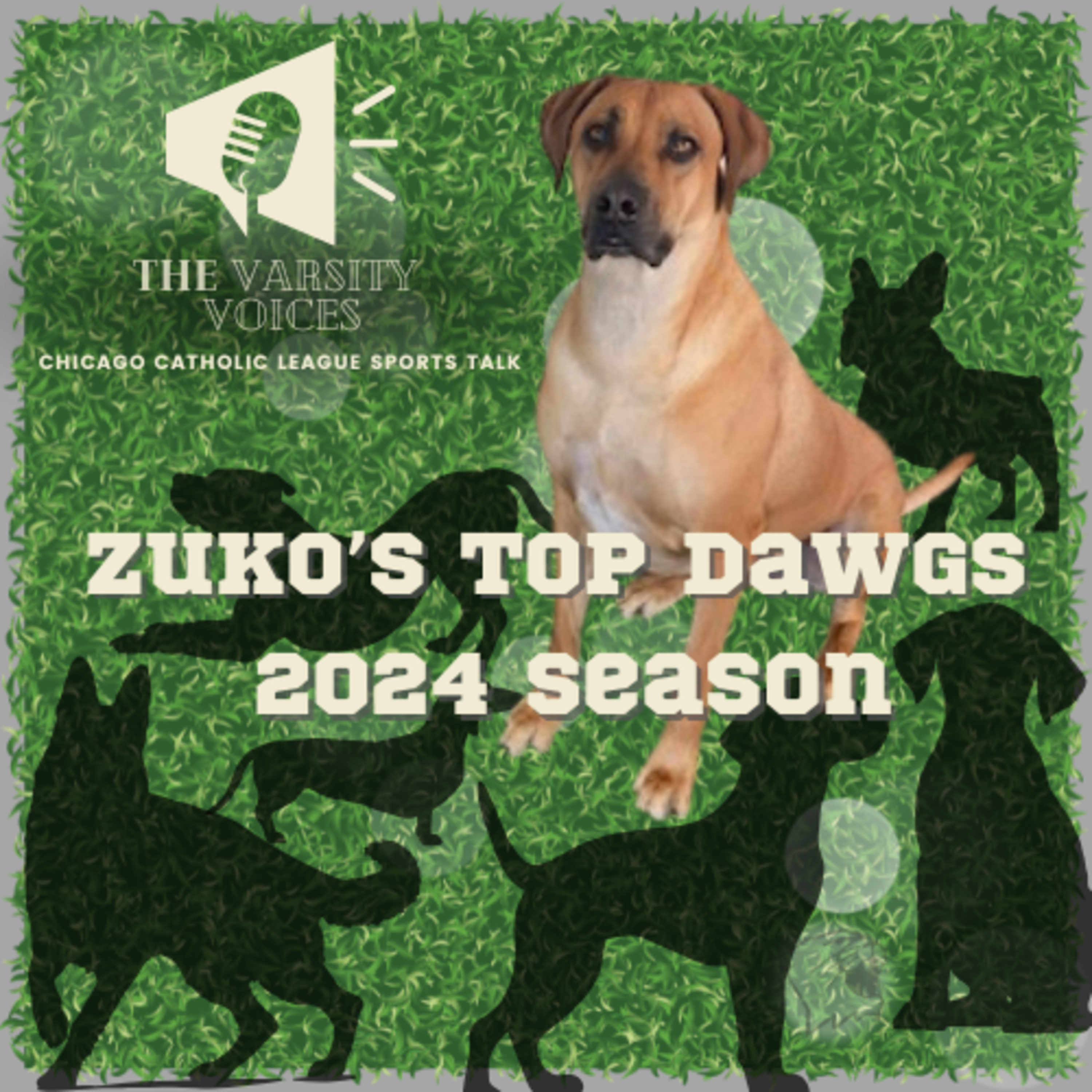 Episode 56: Zuko's Top Dawgs Team for 2024 in the CCL episode artwork