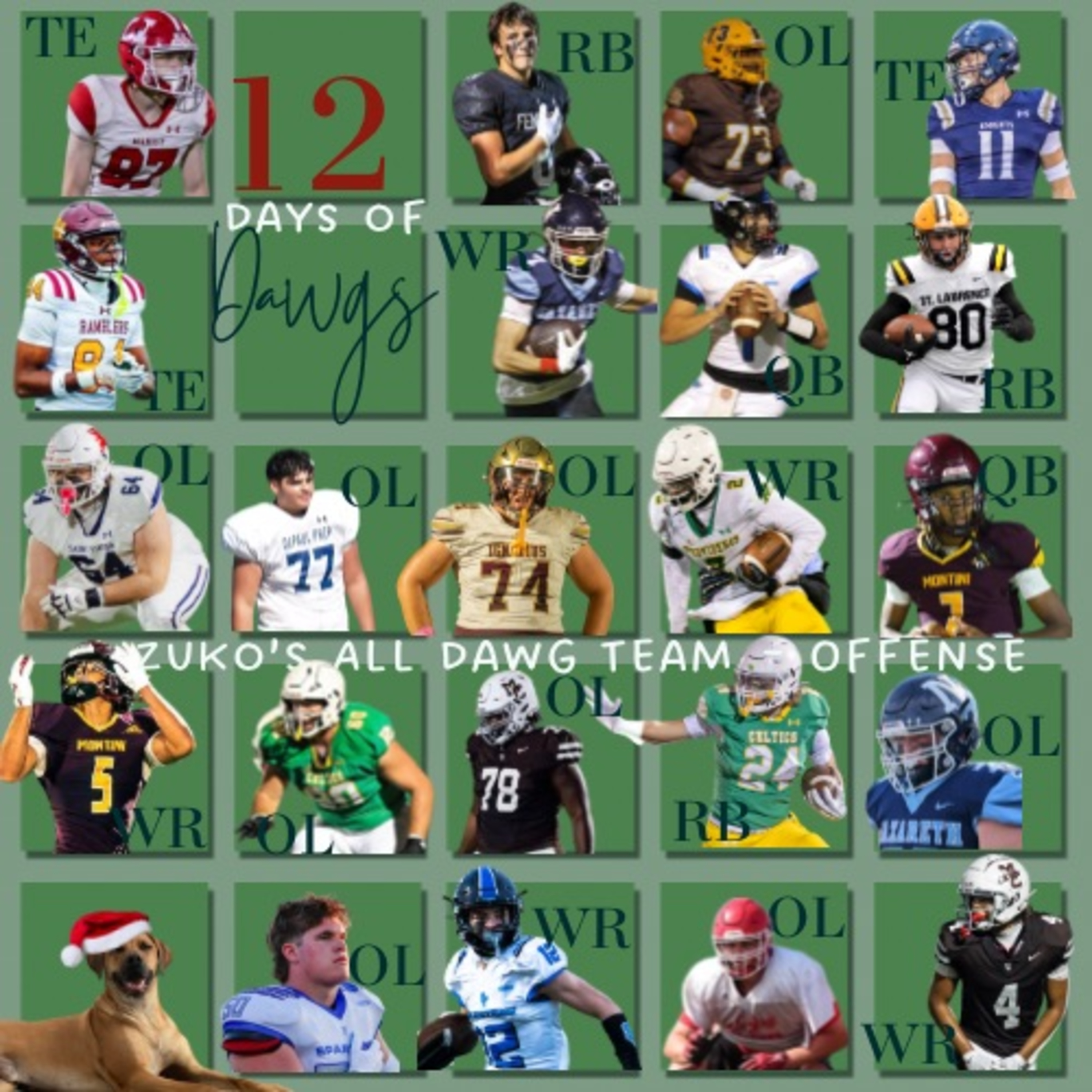 Zuko's 2025 All-Dawg Team, 12 Days of Dawgs - The CCL Tight Ends episode artwork