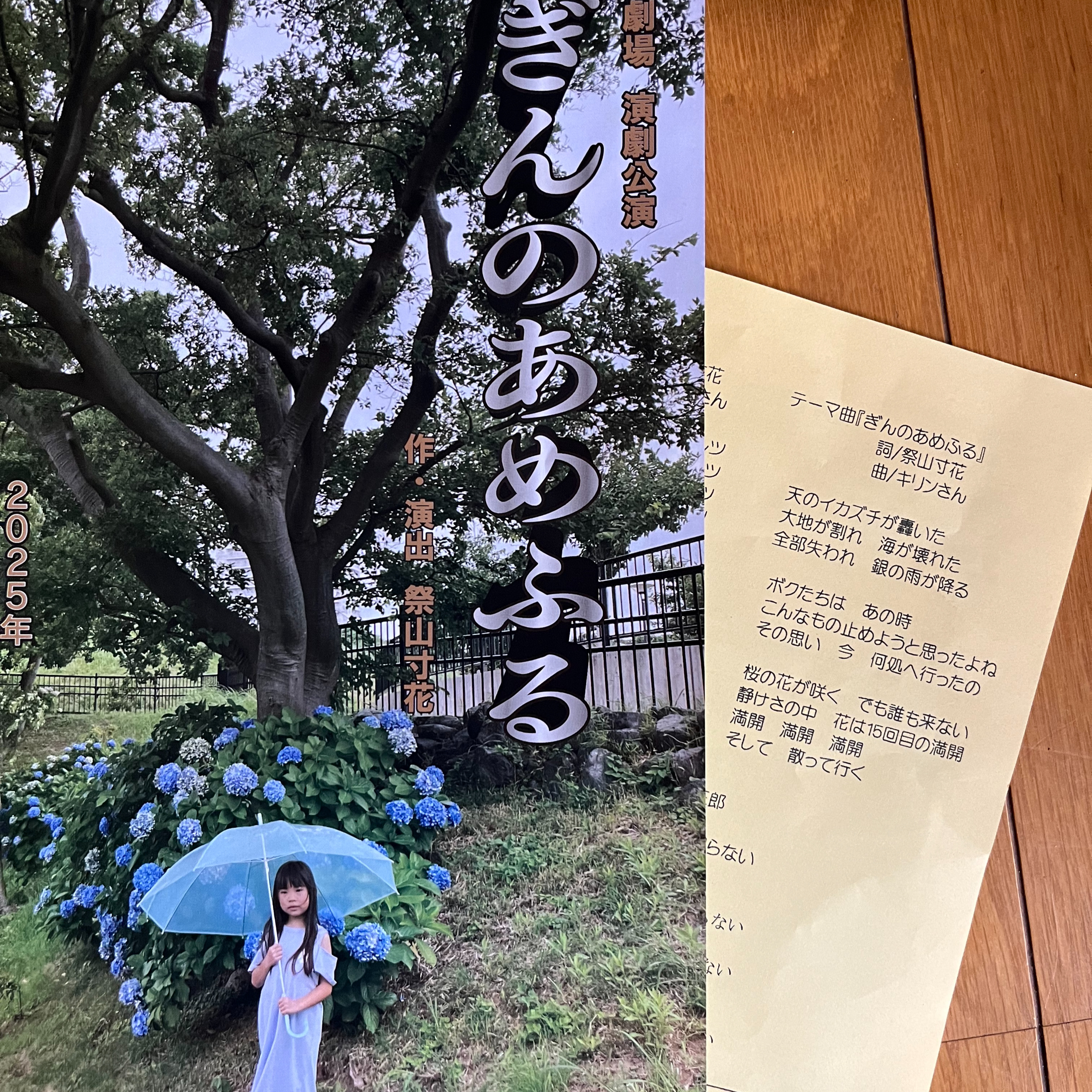劇団Y劇場　「ぎんのあめふる」 episode artwork