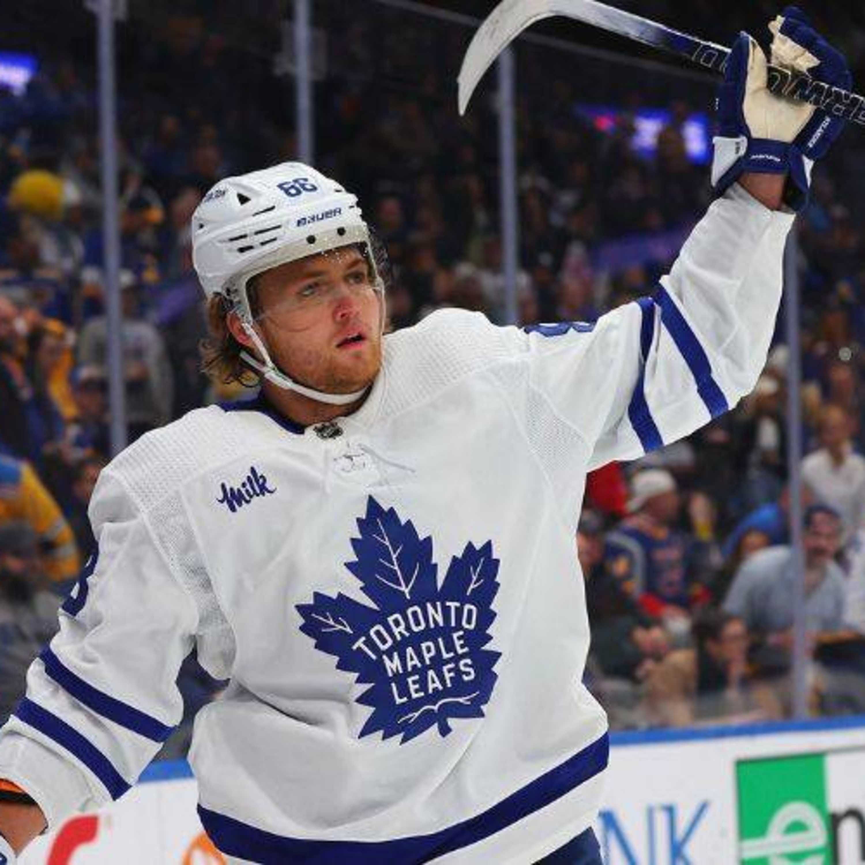 Leafs Under the Microscope