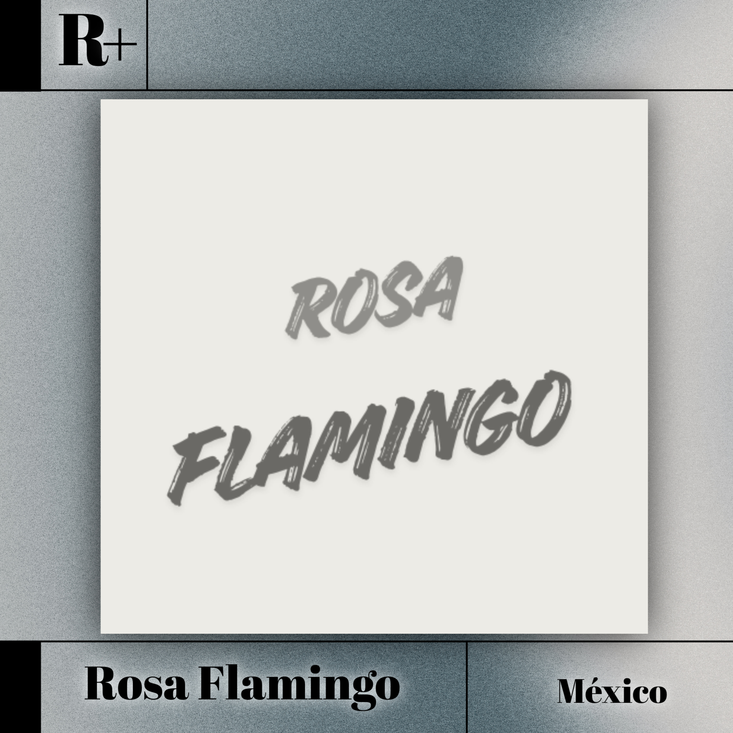 ROSA FLAMINGO: Ciudad, Incertidumbre y la Búsqueda de un Año Nuevo Personal | Entrevista