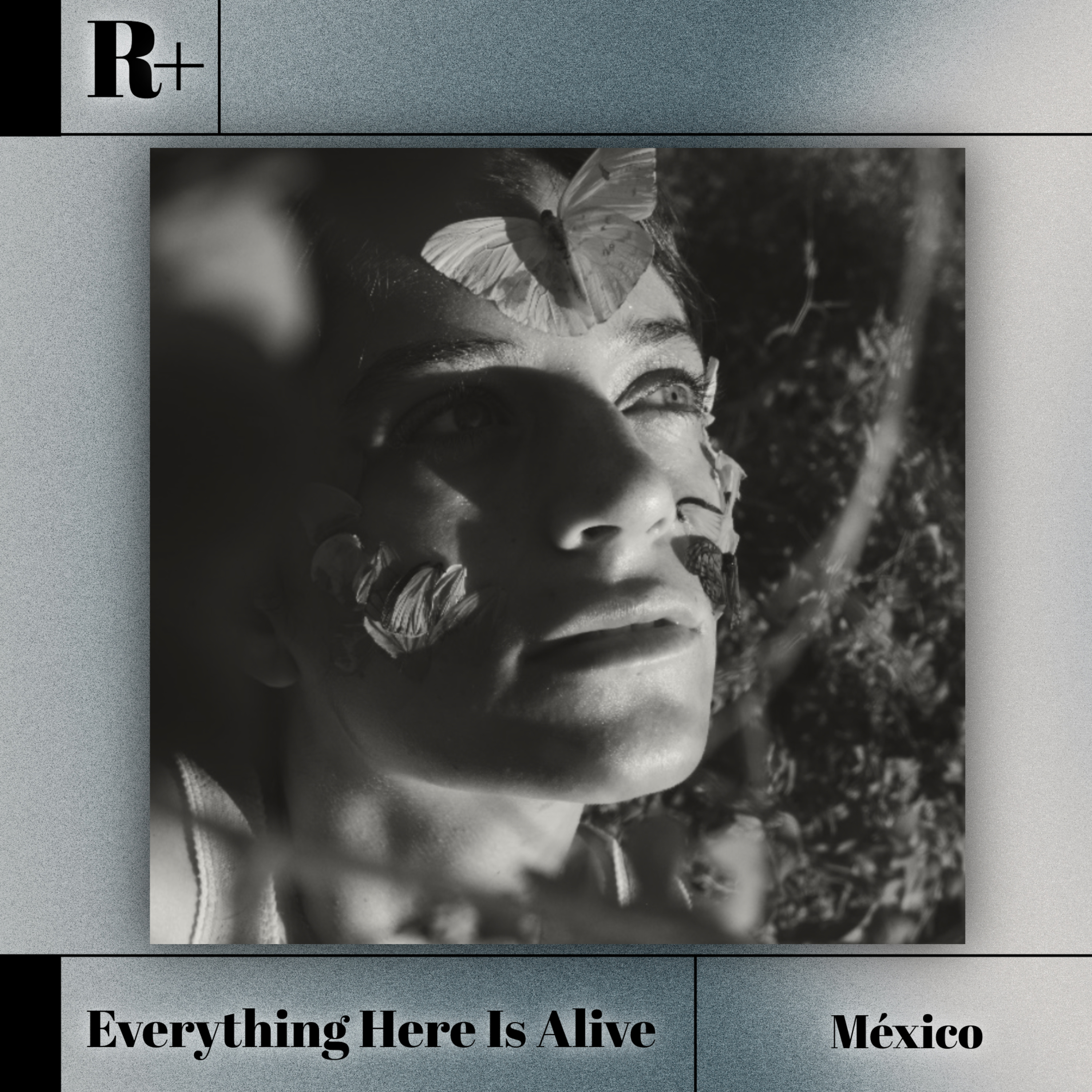 EVERYTHING HERE IS ALIVE: Naturaleza, Fermentación y un Universo en Expansión | Entrevista