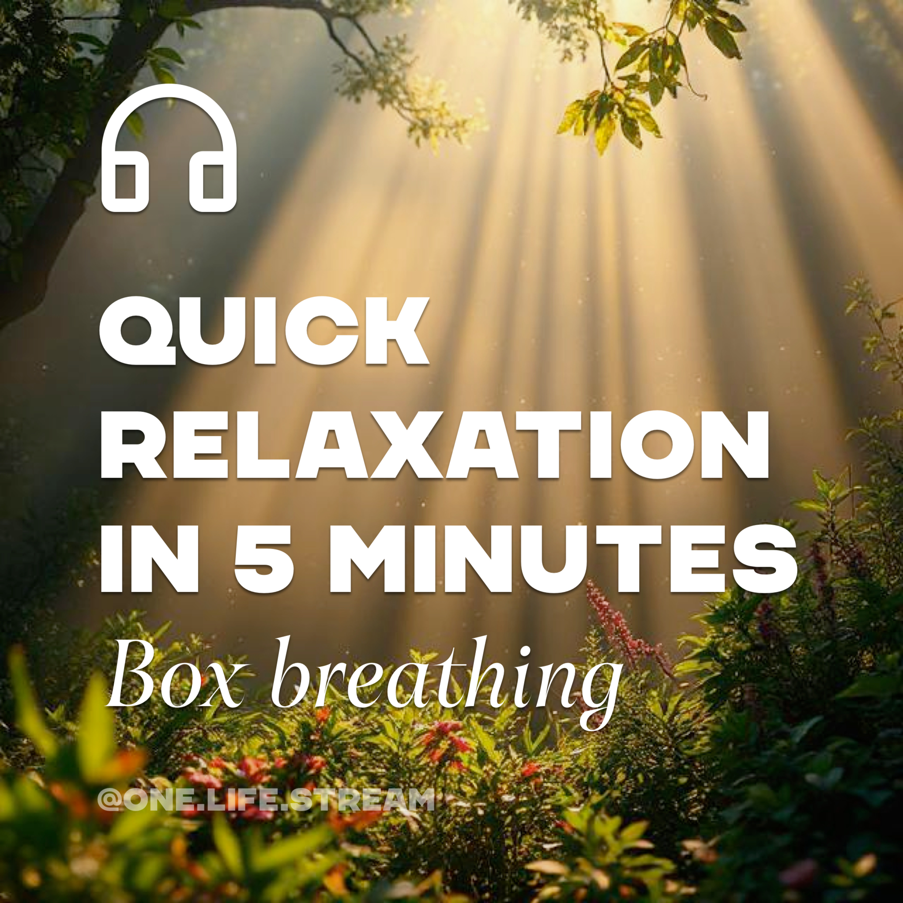 Quick relaxation in 5 minutes. Box breathing episode artwork