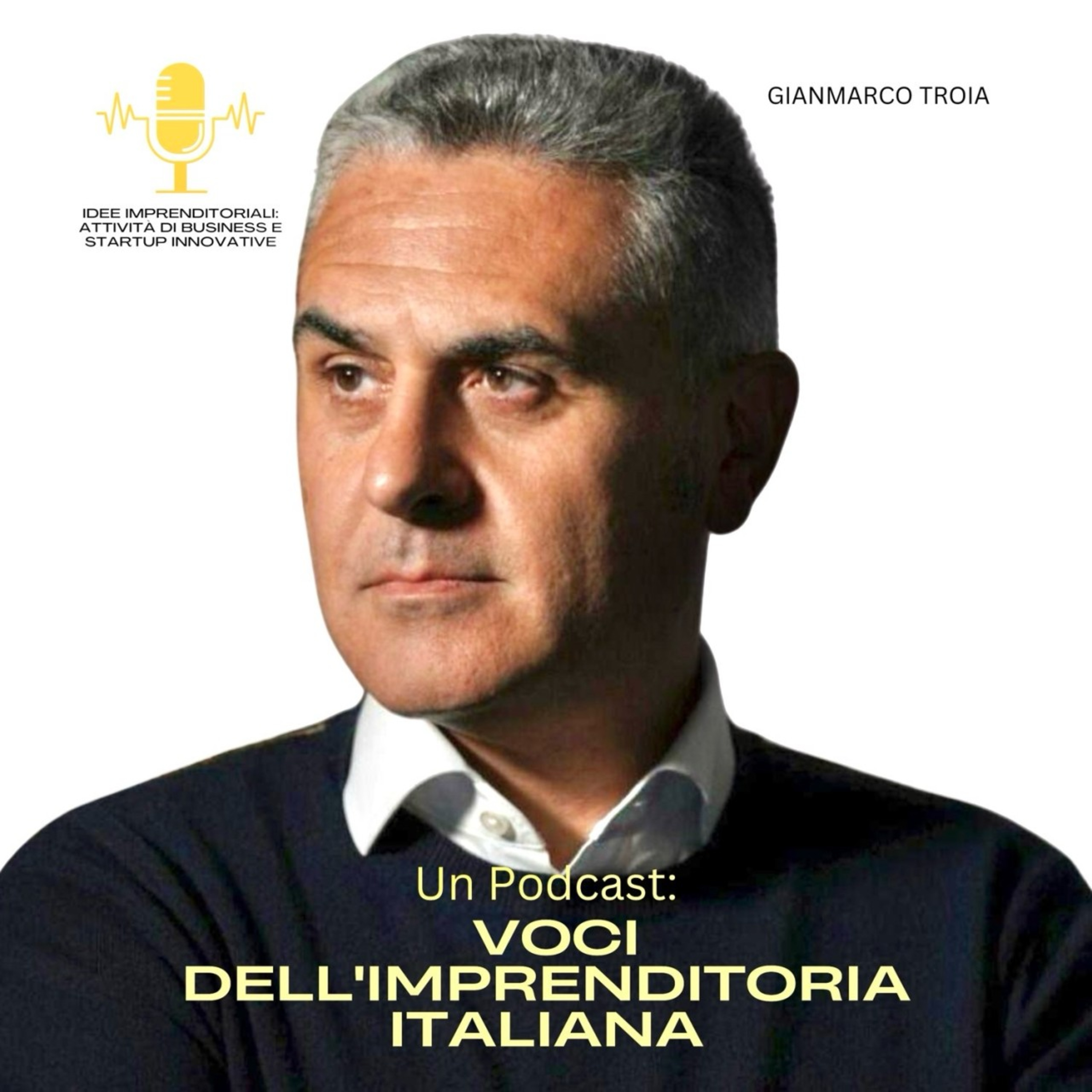 Idee Imprenditoriali: Attività di Business e Startup Innovative