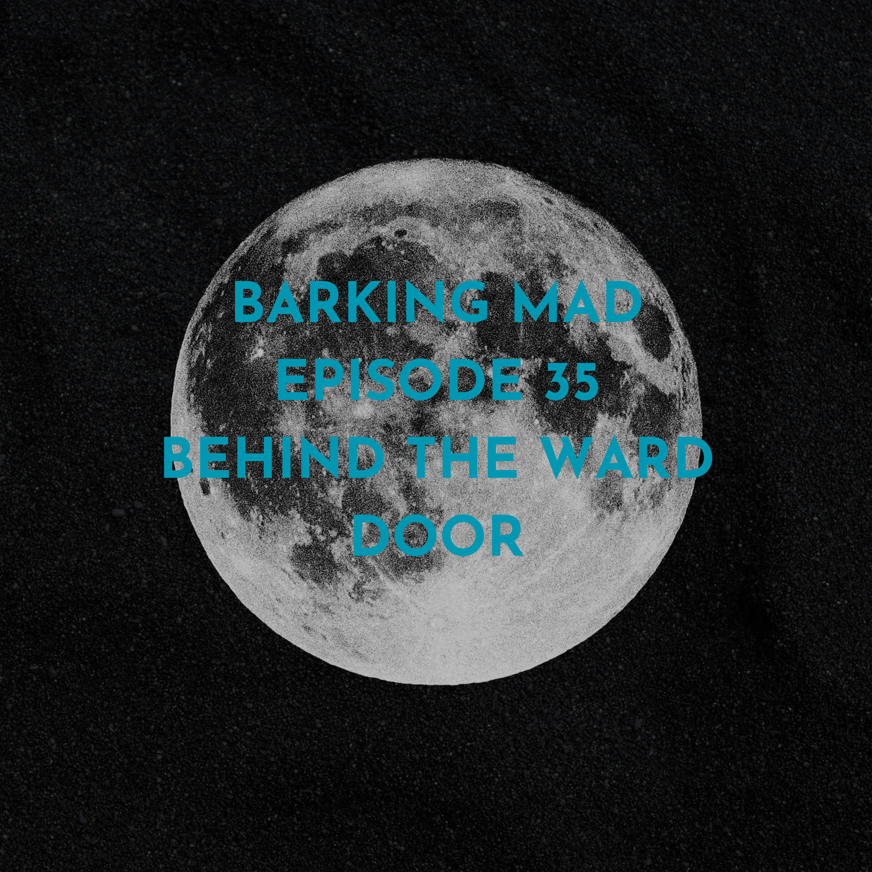Episode 35 Behind the Ward Door: Demystifying Psychiatric Inpatient Admission episode artwork