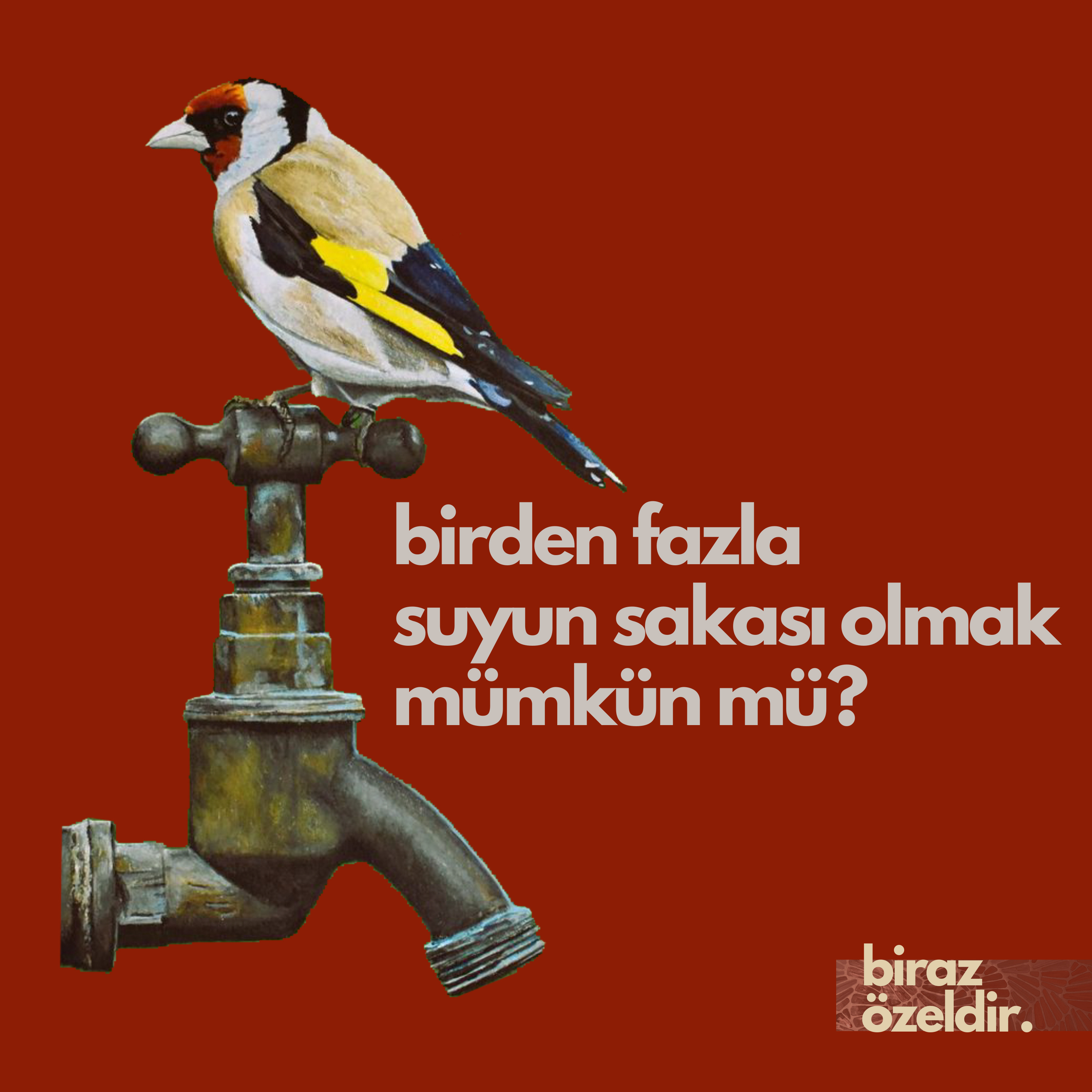 1-birden fazla suyun sakası olabilmek mümkün mü?