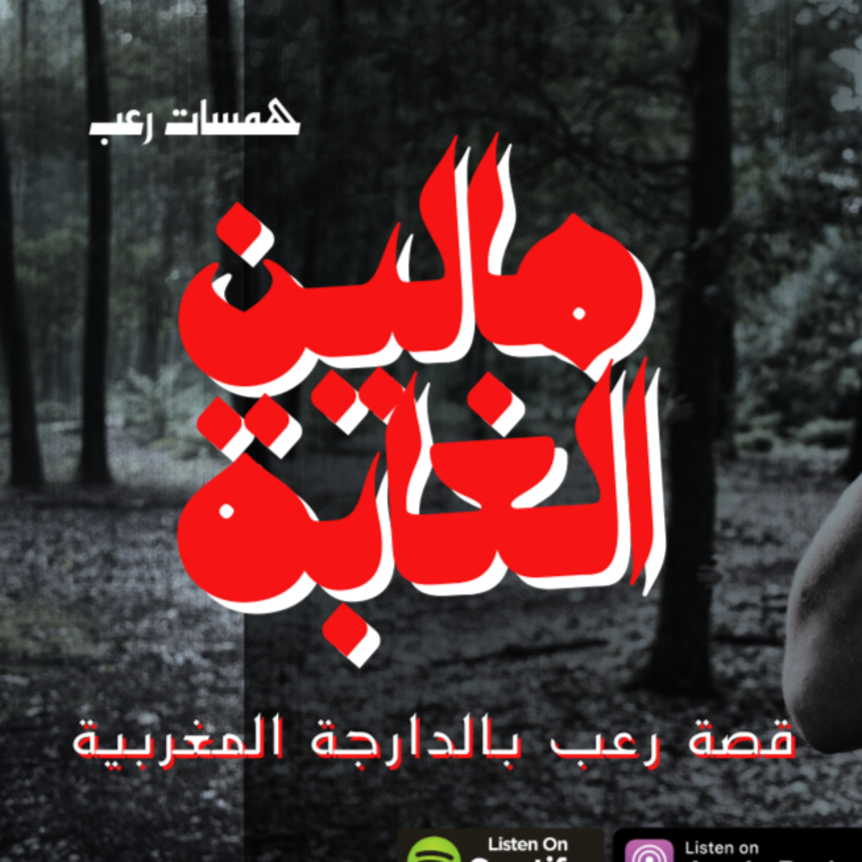 قصة رعب بالدارجة المغربية: مالين الغابة - رعب واقعي من جبال الاطلس المتوسط ( قصة كاملة )
