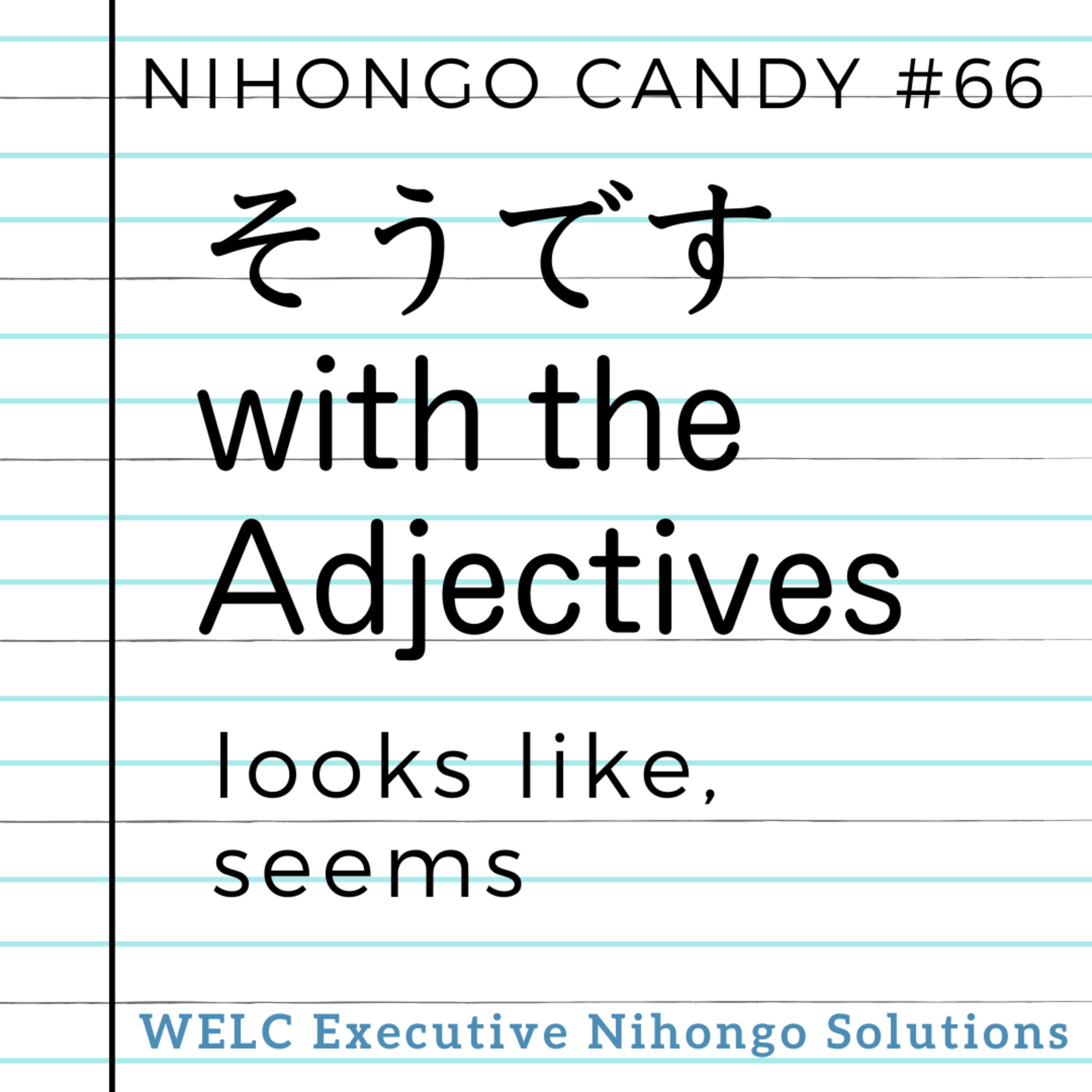 [N4 Grammar] "It looks delicious!" : "Sou desu" (そうです) with Adjectives episode artwork