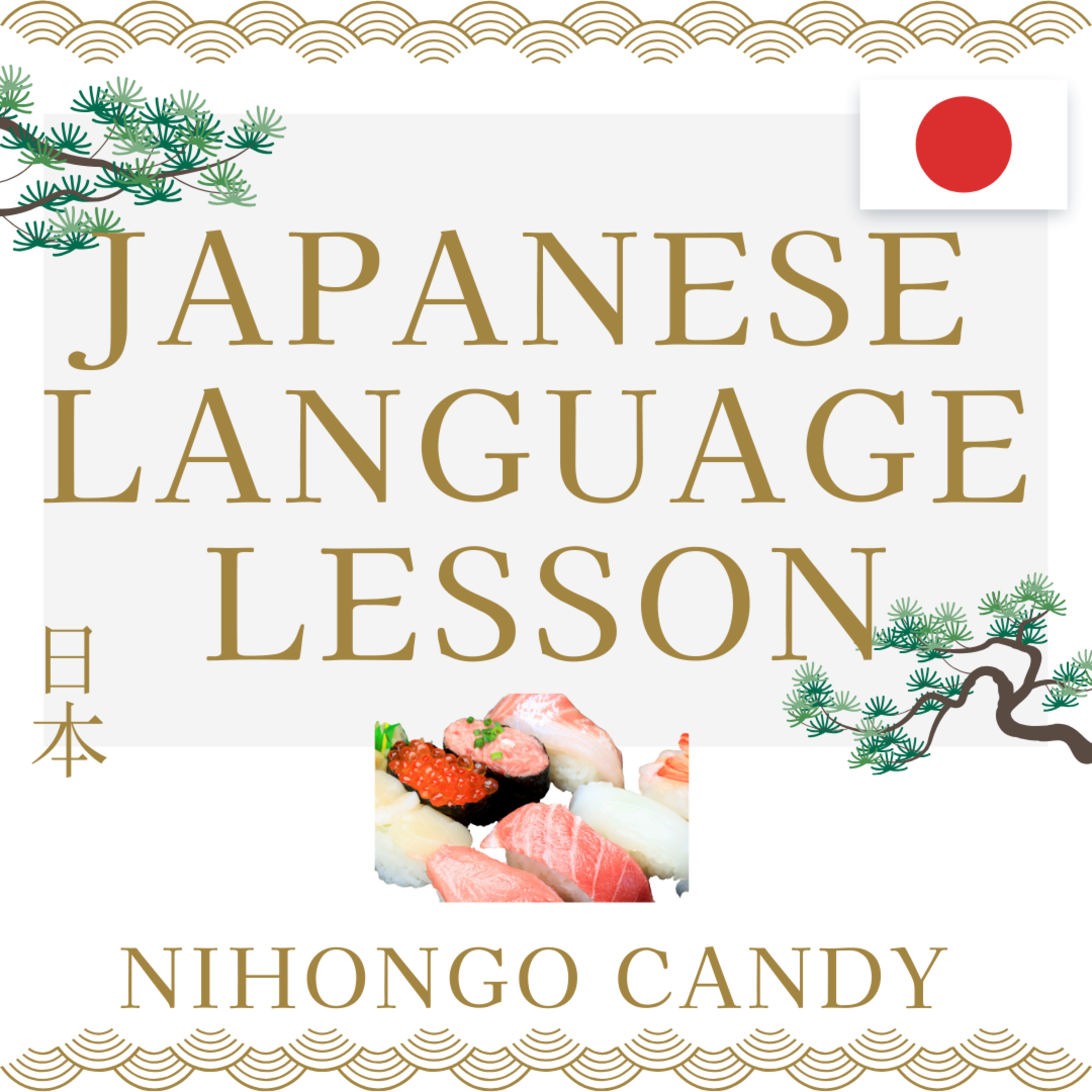 Japanese Language Learning: JLPT Grammar & Vocabulary - Beginner to Intermediate - NIHONGO CANDY