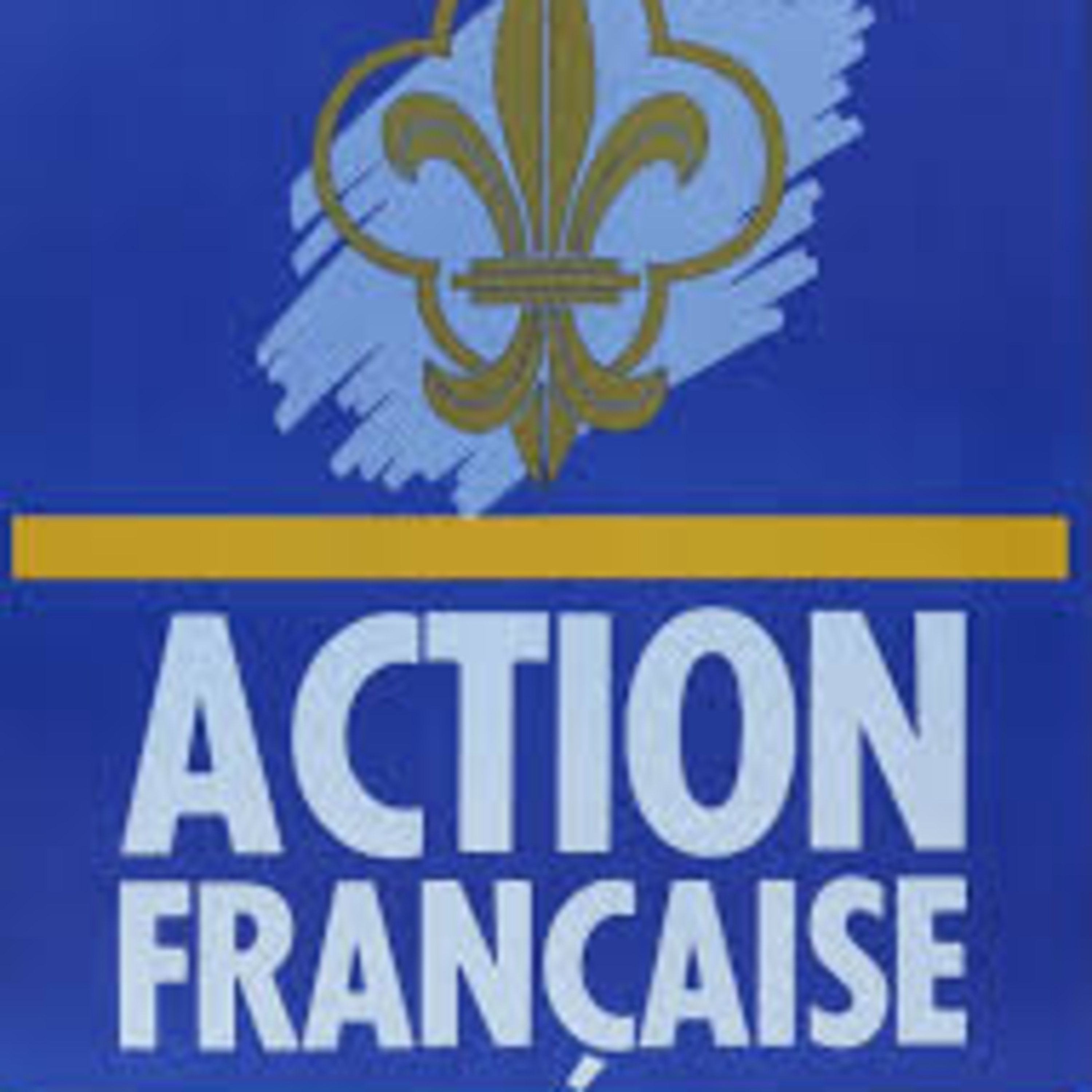 Flep24 (French Legislative Elections Podcast 2024)