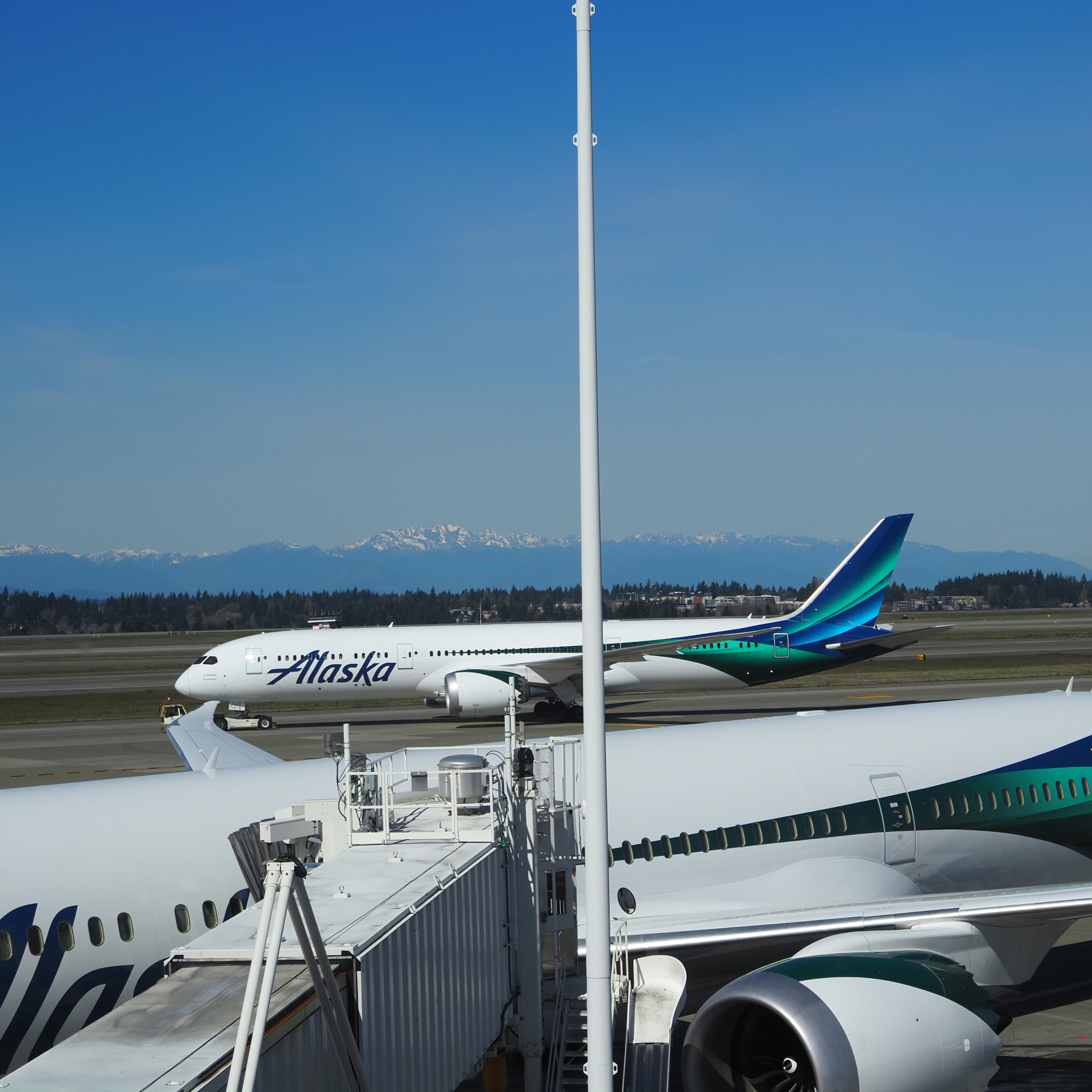 Alaska Airlines 787 Business Class Review! (Episode 41) episode artwork