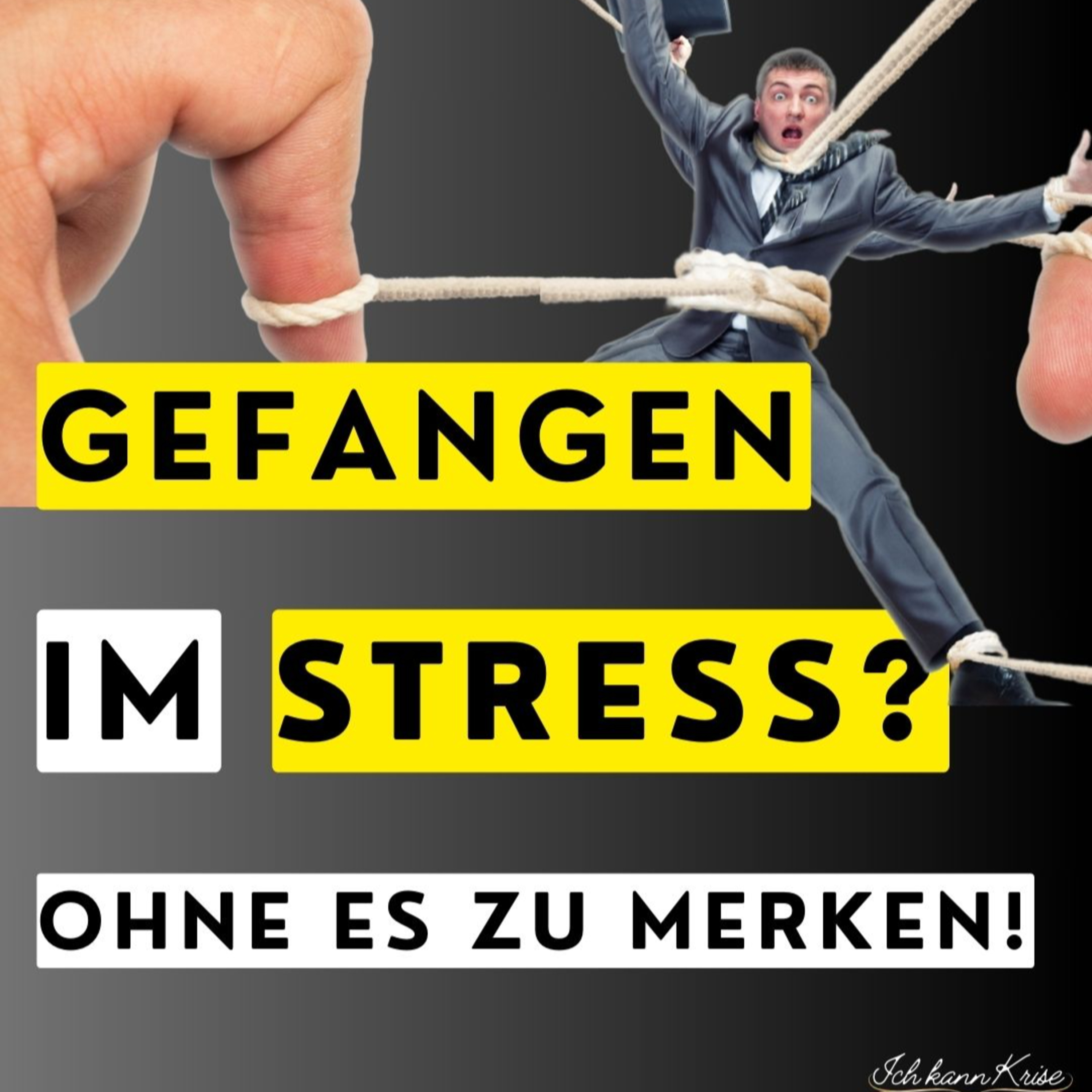 Ich kann Krise. Du auch! - Der Podcast für Krisenkompetenz und mentale Stärke im Management