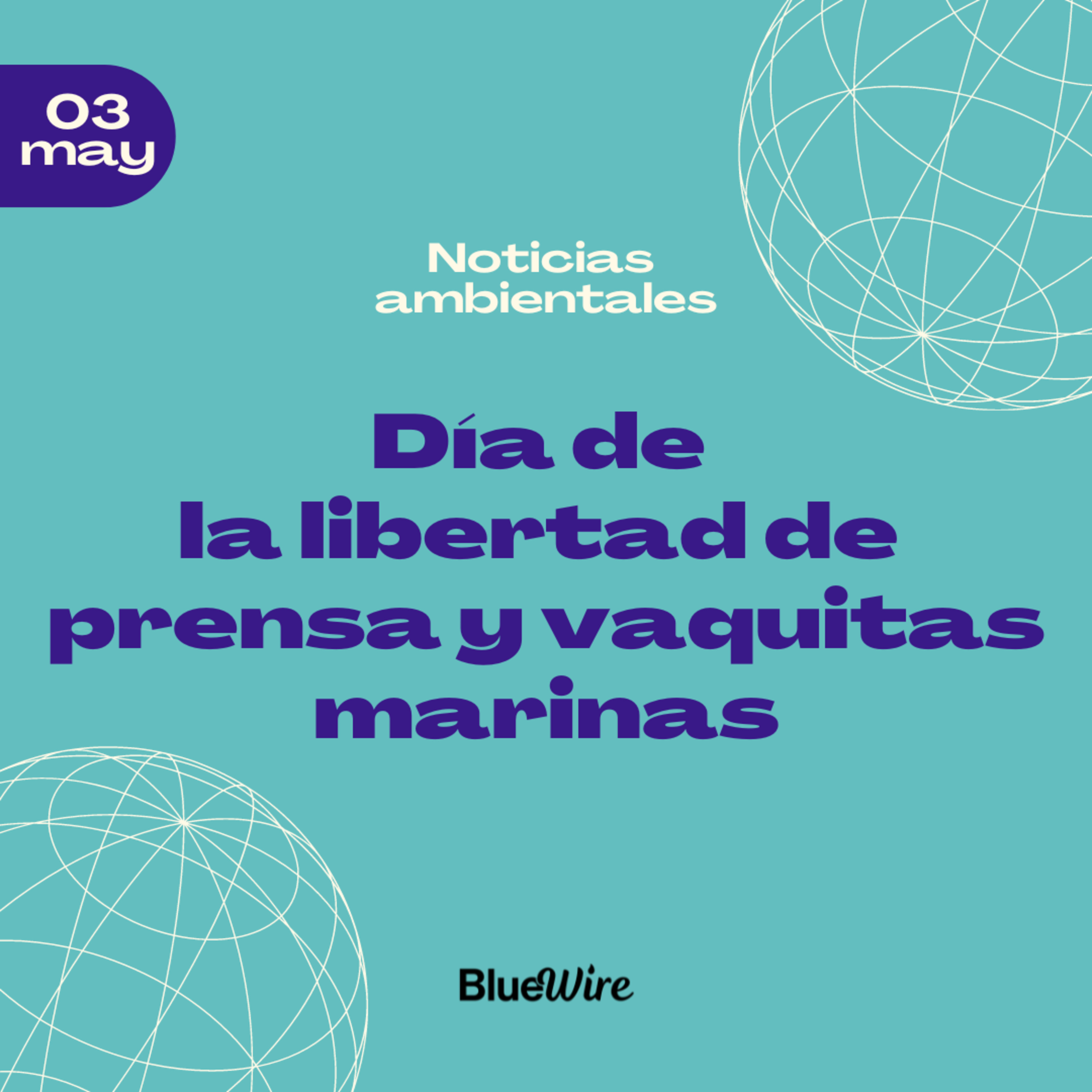 15. Día Mundial de la Libertad de Prensa, la situación de las vaquitas marinas y más episode artwork