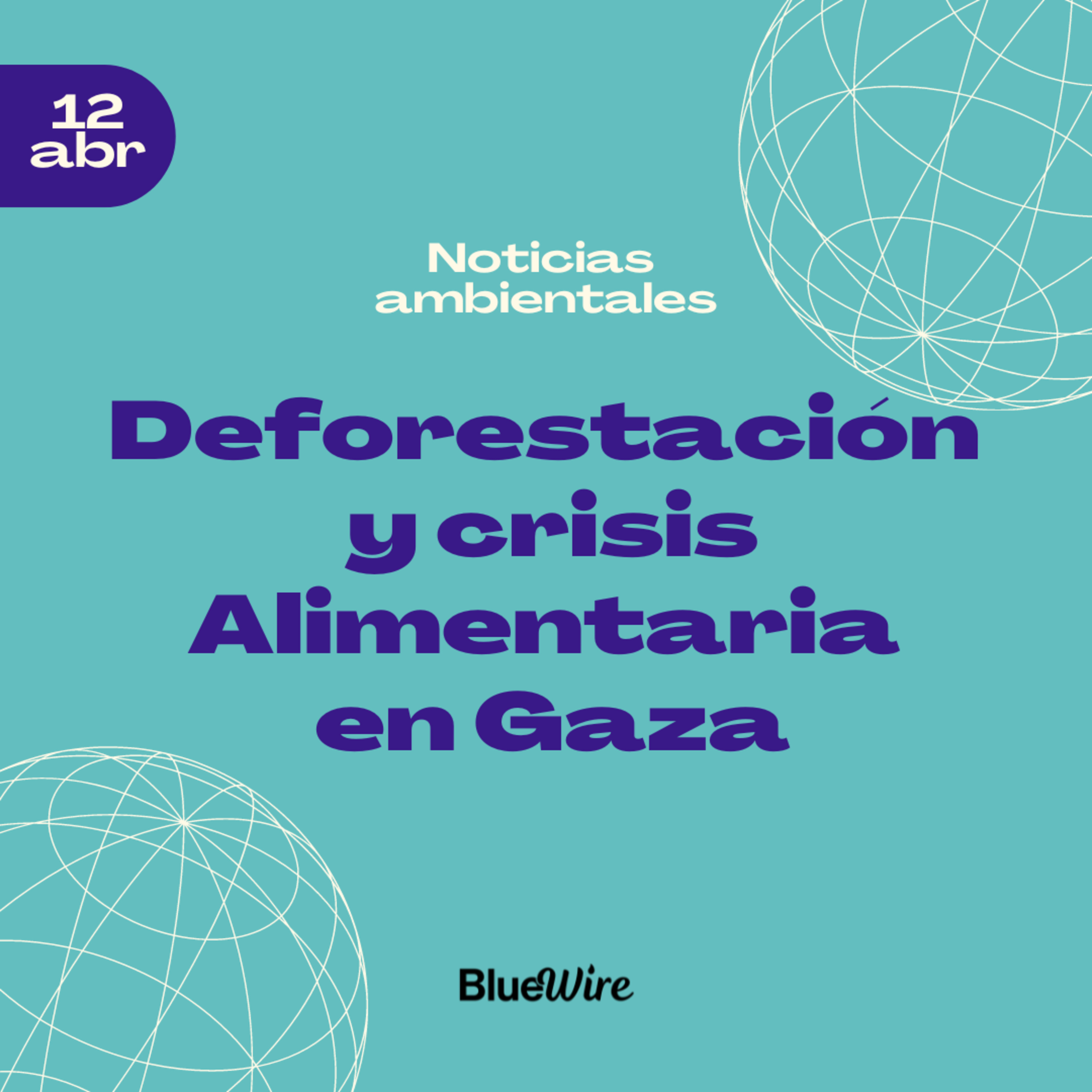 12. Deforestación en México y el mundo, pros/contras de Sembrando Vida, Crisis Alimentaria en Gaza y más noticias 🌱 episode artwork