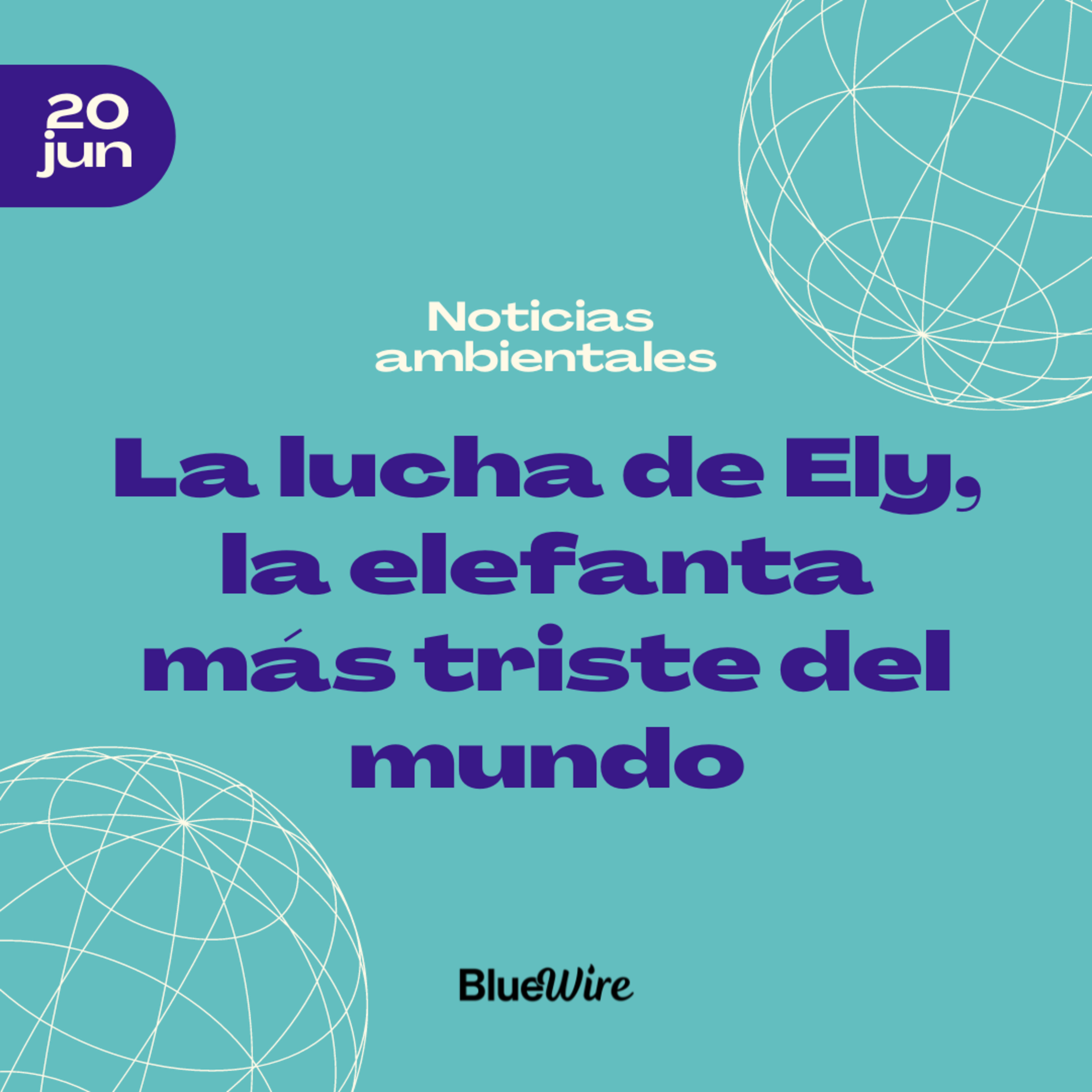 22. La lucha de Ely, la elefanta más triste del mundo episode artwork