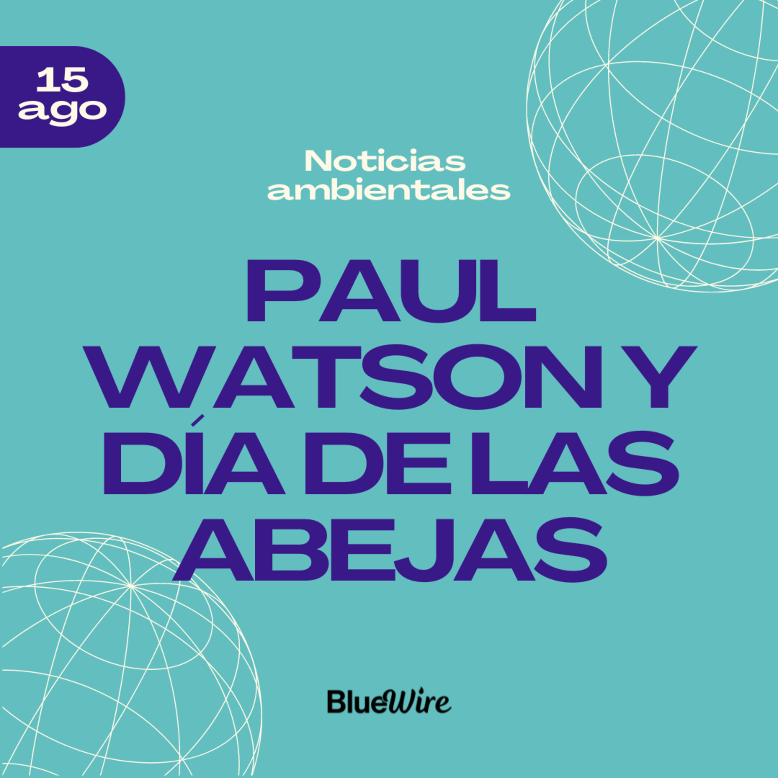 30. ¿Qué pasó con el activista Paul Watson? episode artwork