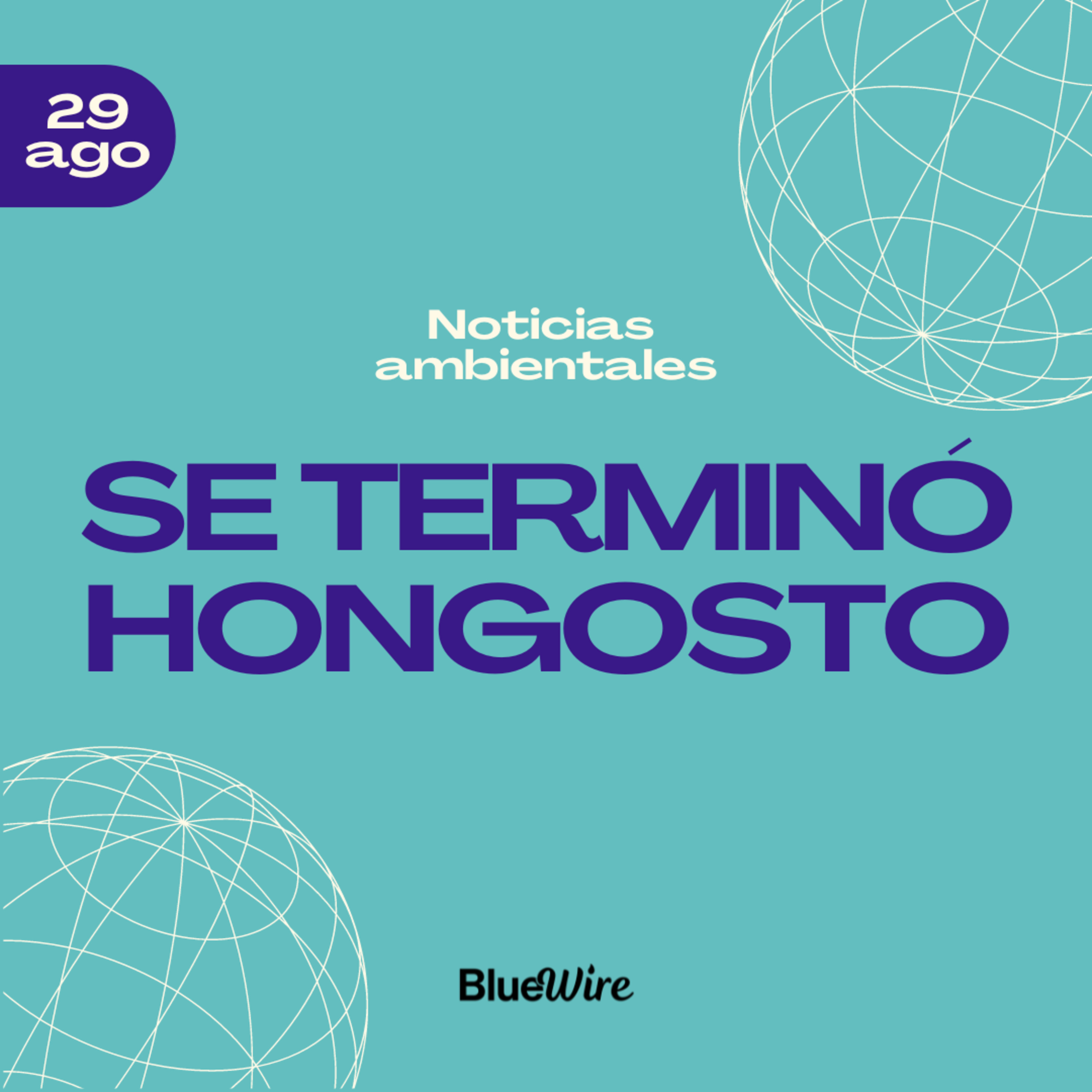 32. Hongosto llegó a su fin episode artwork