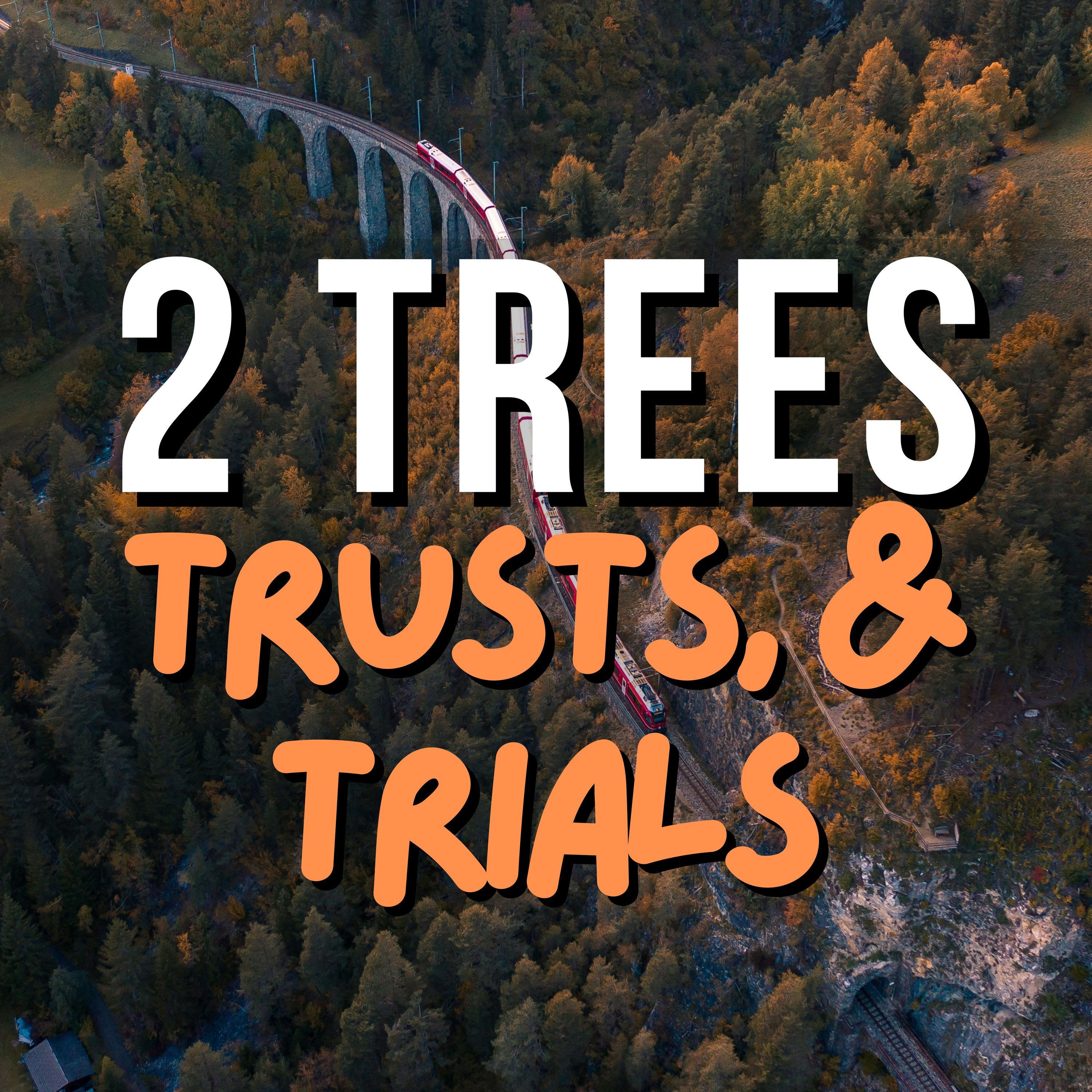 2 trees, trusts & trials episode artwork