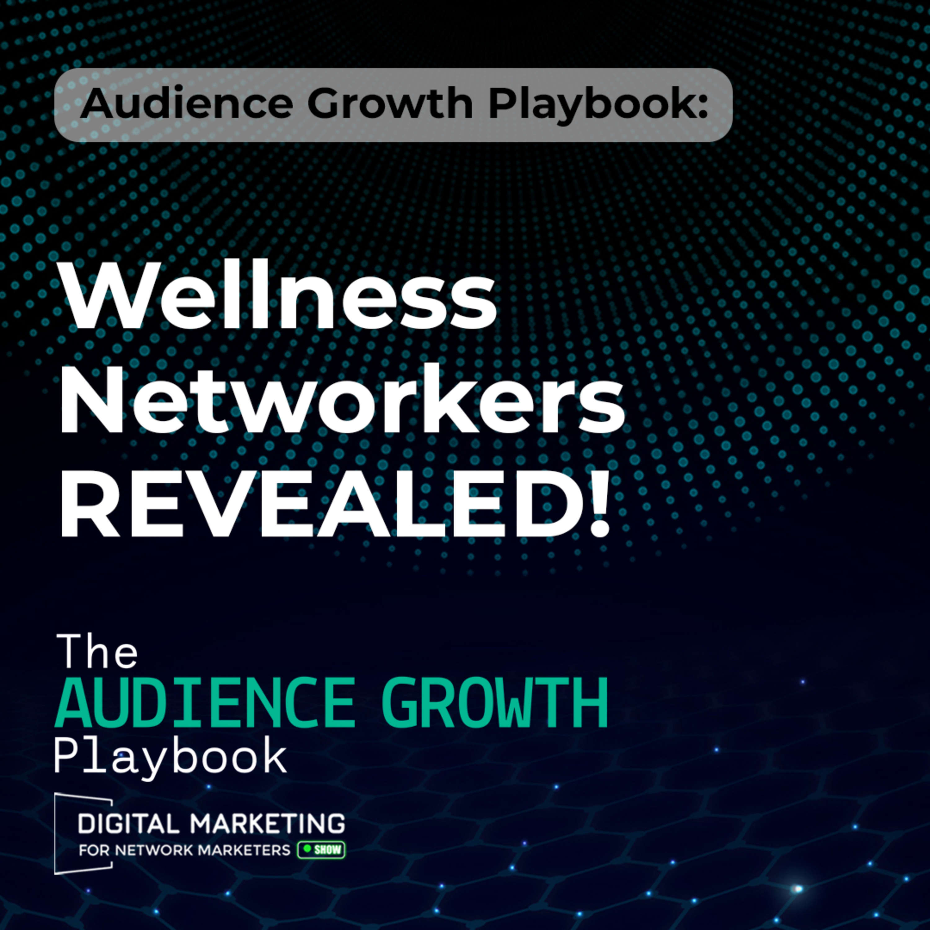 Audience Growth Playbook: Wellness Networkers REVEALED! episode artwork