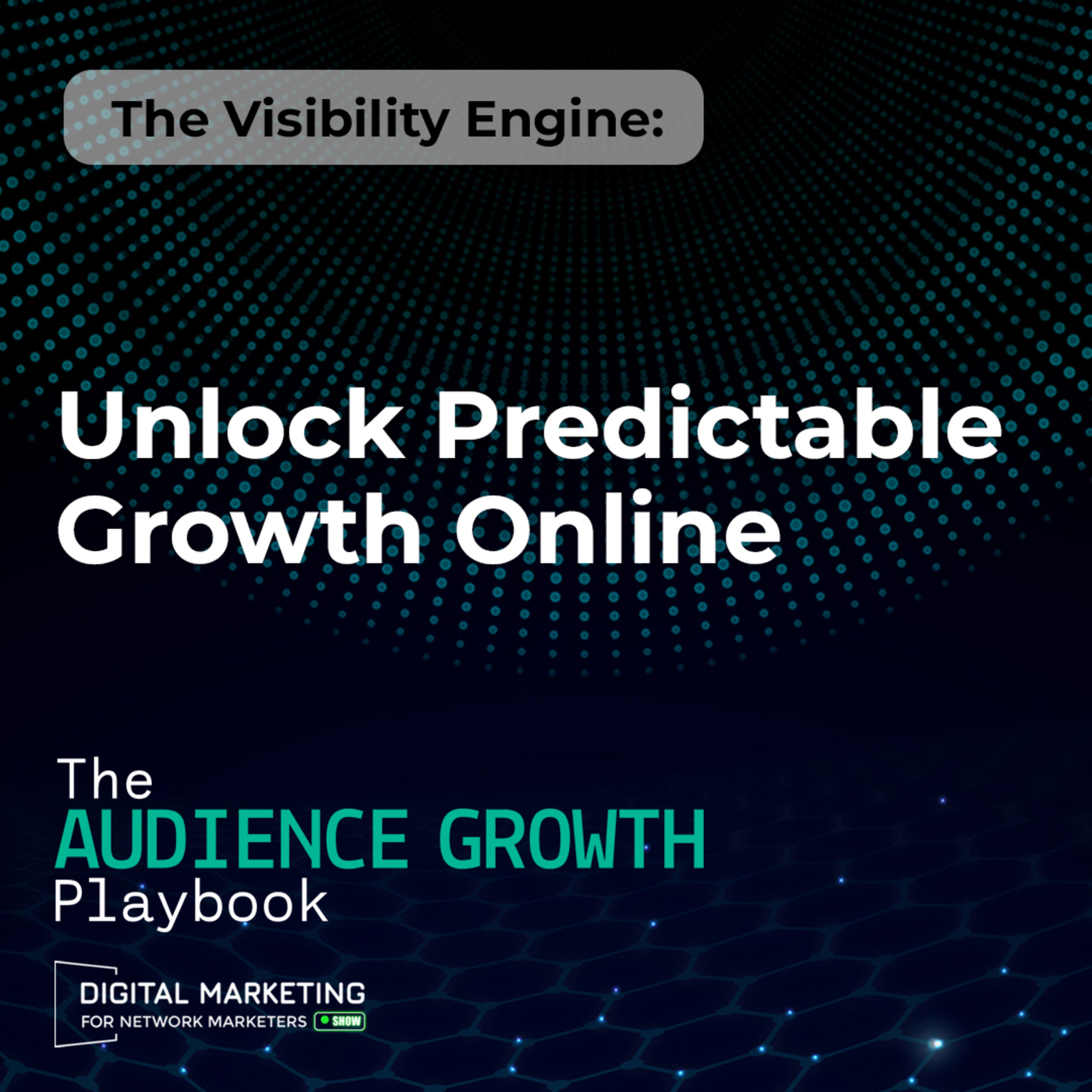 The Visibility Engine: Unlock Predictable Growth Online episode artwork