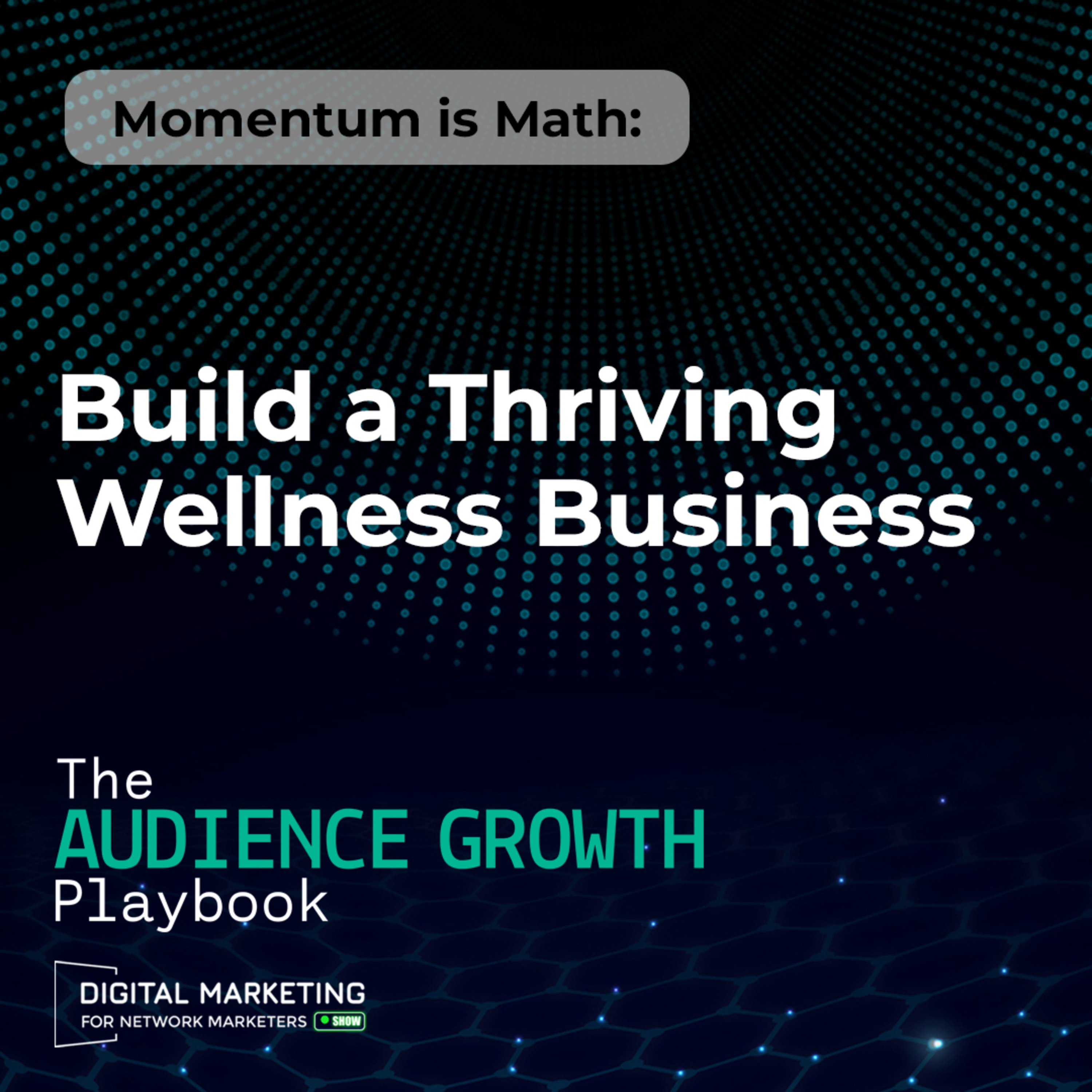 Momentum is Math: Build a Thriving Wellness Business episode artwork