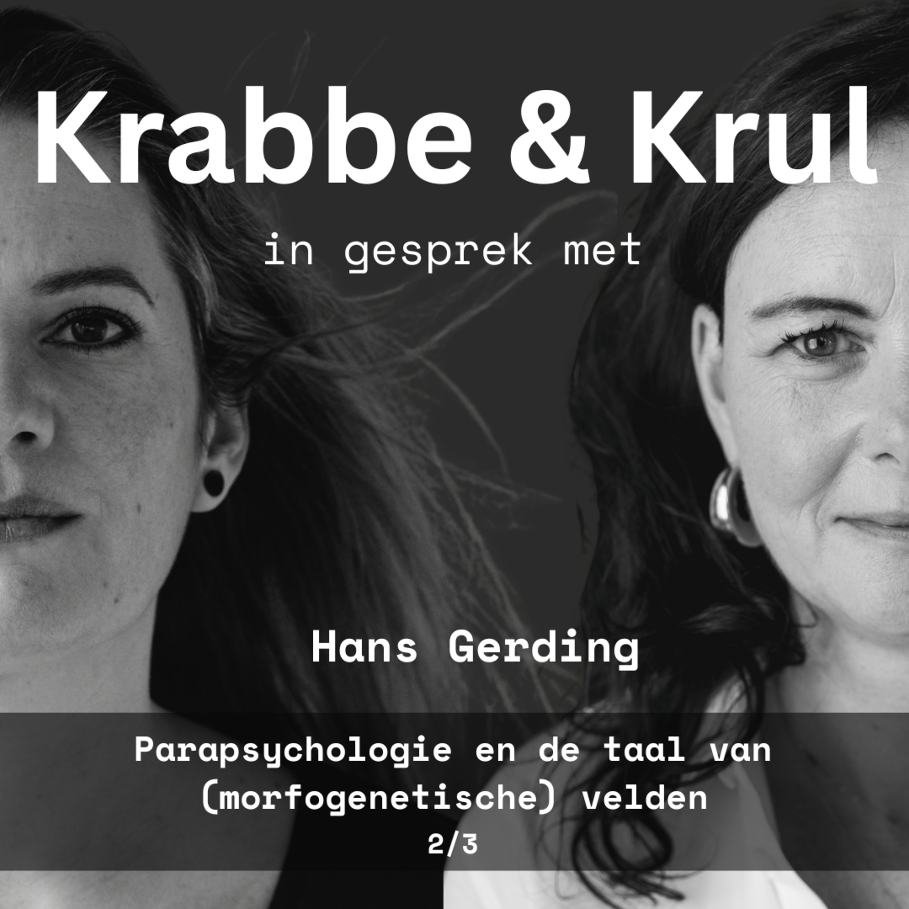 Krabbe & Krul in gesprek met Hans Gerding | Parapsychologie en de taal van (morfogenetische) velden (2/3)